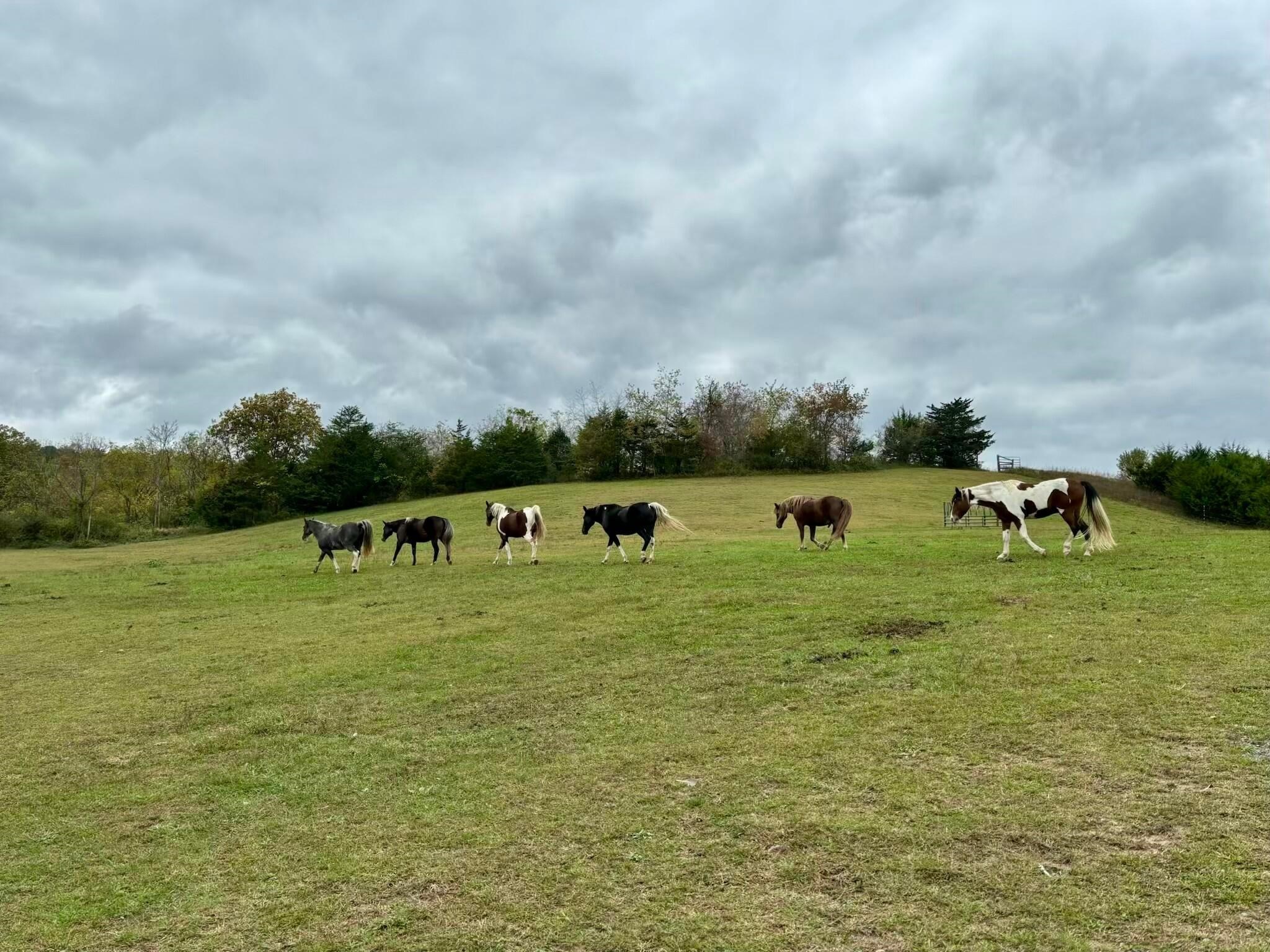 694 & 764 ROCKBRIDGE ALUM SPRINGS RD, GOSHEN, Virginia 24439, 3 Bedrooms Bedrooms, ,2 BathroomsBathrooms,Residential,694 & 764 Rockbridge Alum Springs Rd Goshen, V,694 & 764 ROCKBRIDGE ALUM SPRINGS RD,680967 MLS # 680967 694 & 764 ROCKBRIDGE ALUM SPRINGS RD, GOSHEN, Virginia 24439, 3 Bedrooms Bedrooms, ,2 BathroomsBathrooms,Residential,694 & 764 Rockbridge Alum Springs Rd Goshen, V,694 & 764 ROCKBRIDGE ALUM SPRINGS RD,680967 MLS # 680967
