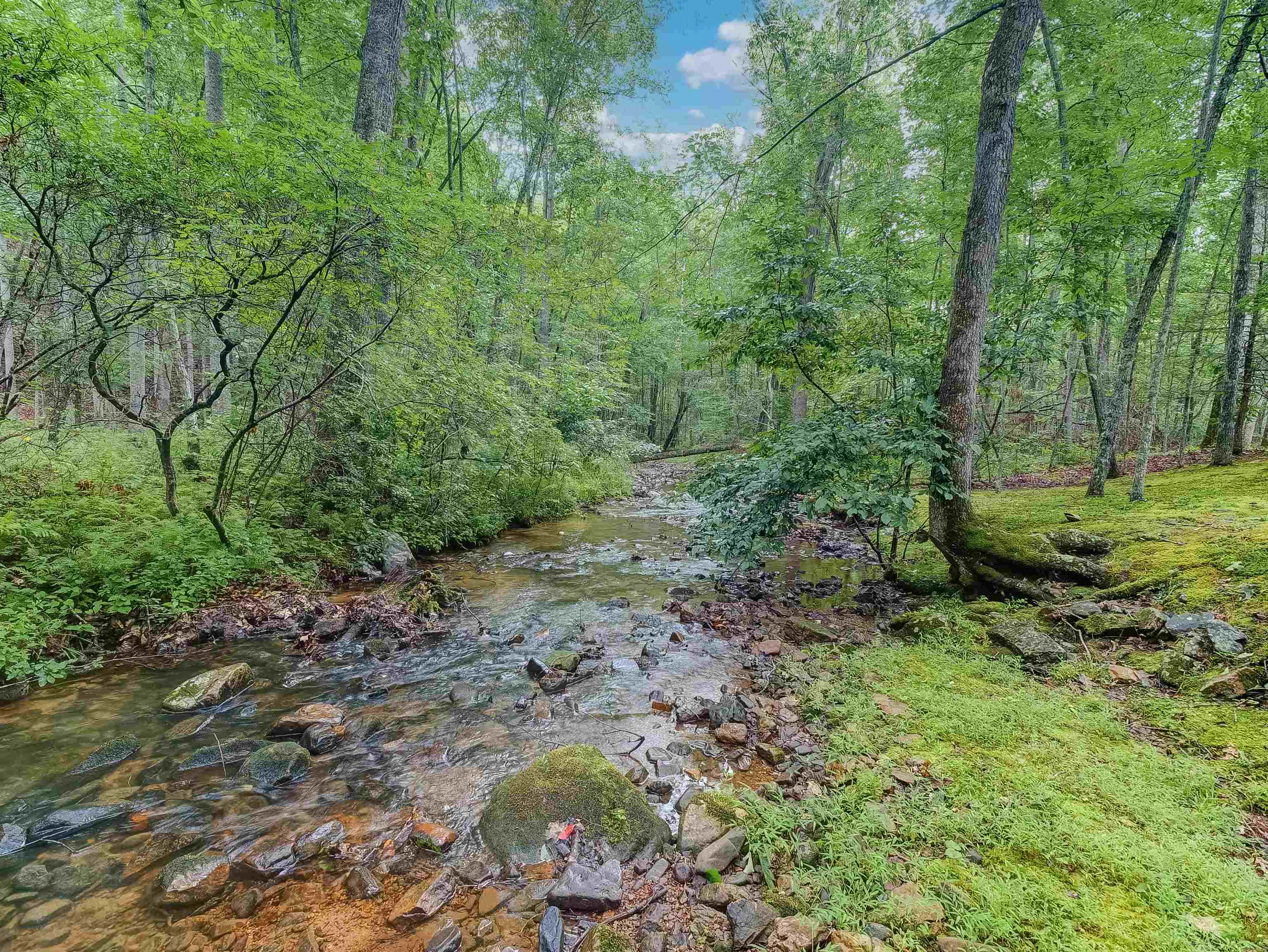 6722 DOUTHAT RD, MILLBORO, Virginia 24460, 3 Bedrooms Bedrooms, ,3 BathroomsBathrooms,Residential,6722 DOUTHAT RD,680975 MLS # 680975