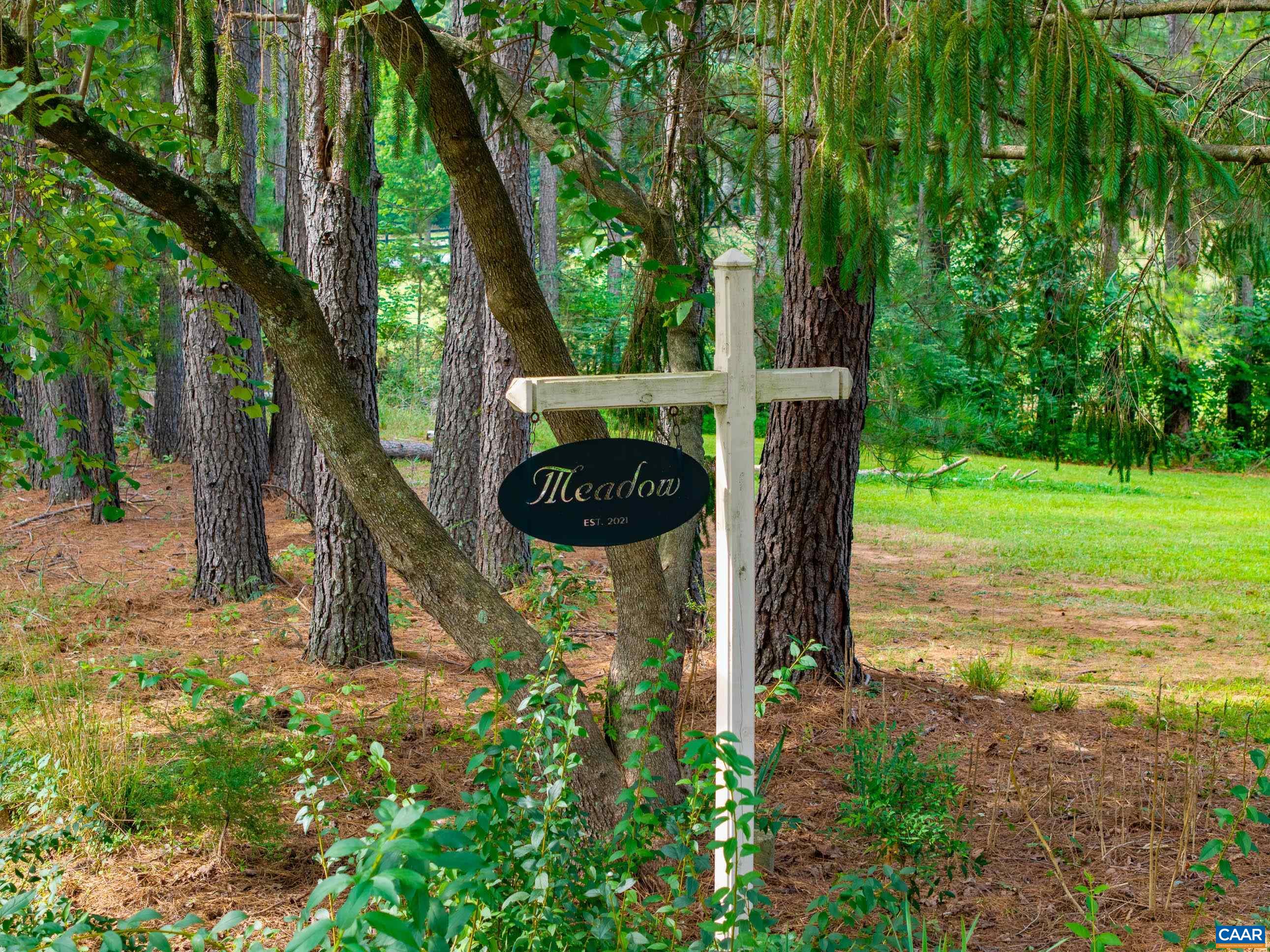 6280 BLENHEIM RD, SCOTTSVILLE, Virginia 24590, 4 Bedrooms Bedrooms, ,4 BathroomsBathrooms,Residential,6280 BLENHEIM RD,681001 MLS # 681001 6280 BLENHEIM RD, SCOTTSVILLE, Virginia 24590, 4 Bedrooms Bedrooms, ,4 BathroomsBathrooms,Residential,6280 BLENHEIM RD,681001 MLS # 681001
