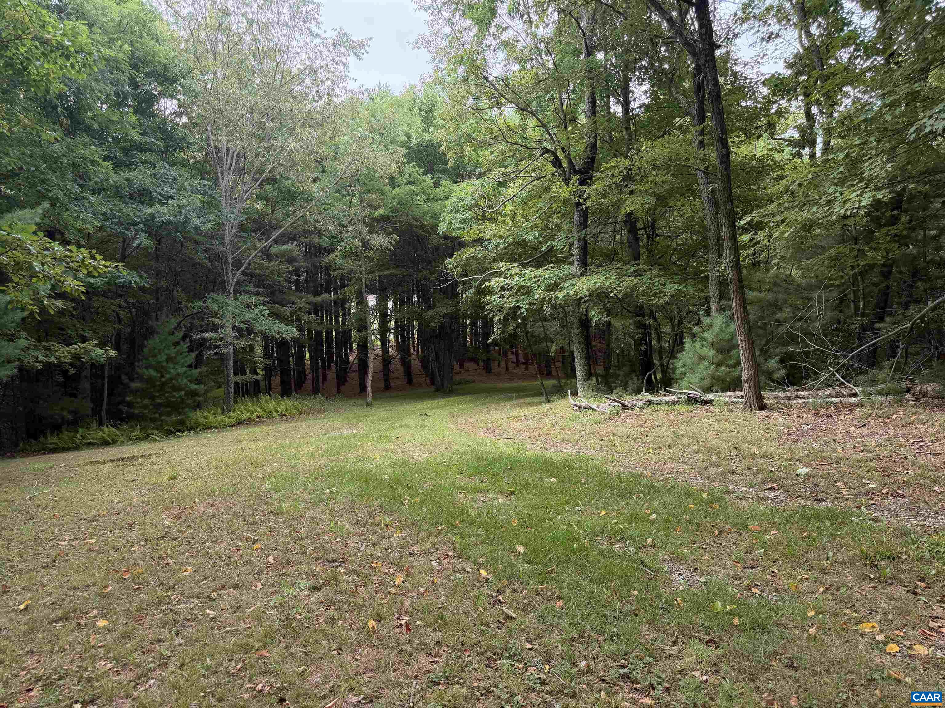 17 WILSON DR, MONTEBELLO, Virginia 24464, ,Land,17 WILSON DR,681014 MLS # 681014