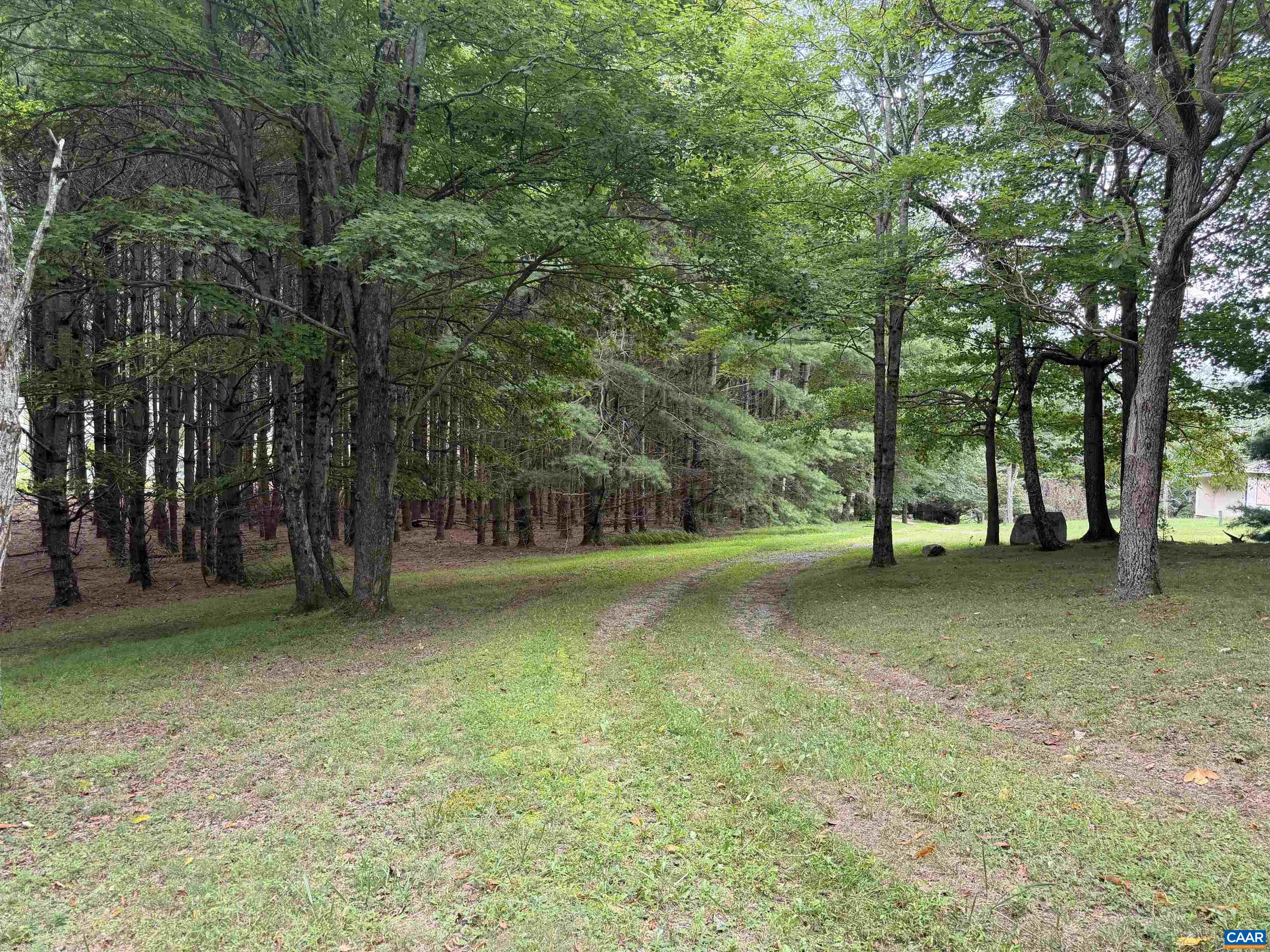 17 WILSON DR, MONTEBELLO, Virginia 24464, ,Land,17 WILSON DR,681014 MLS # 681014
