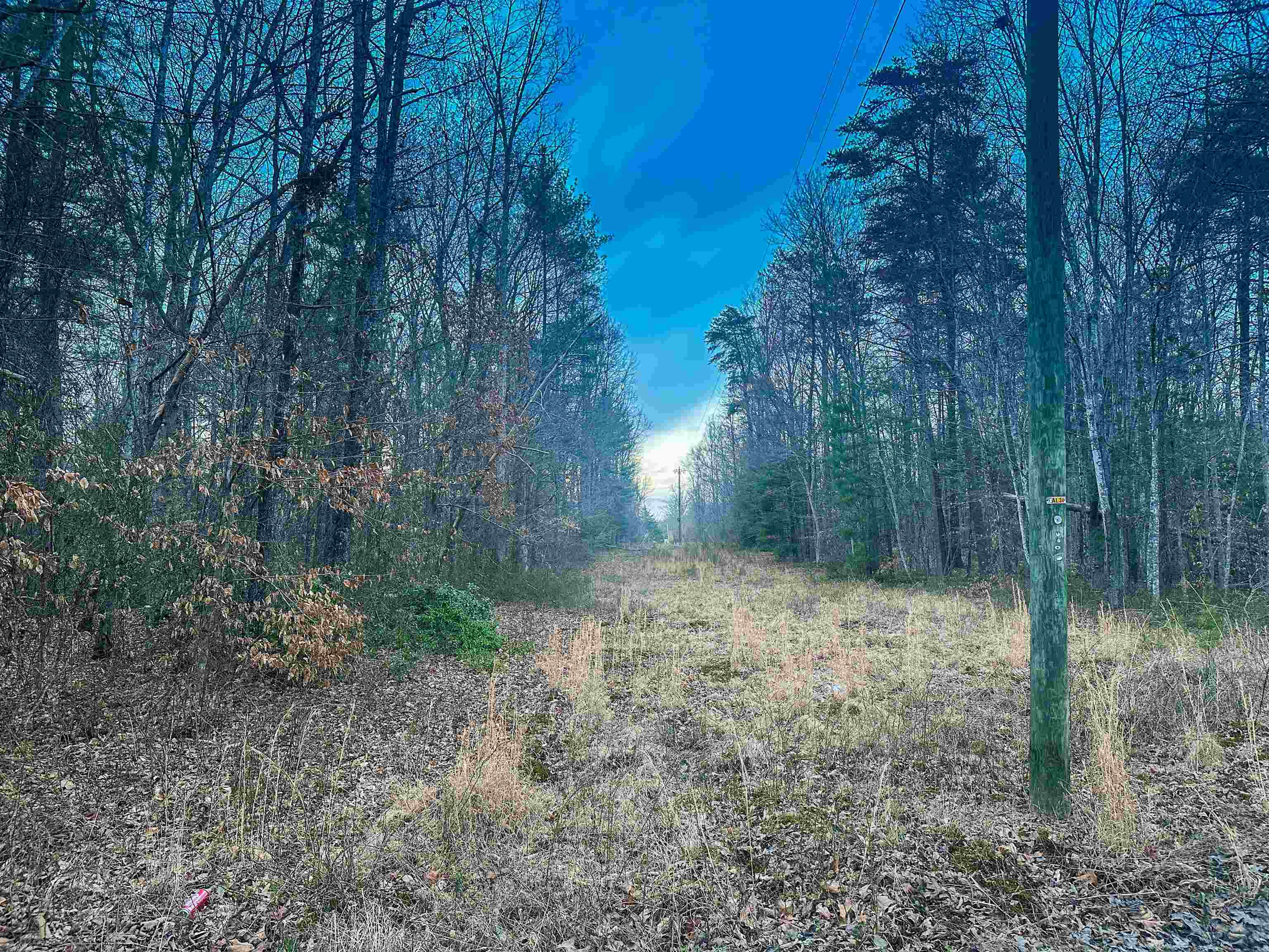 TBD EAST BRANCH LOOP, ROSELAND, Virginia 22967, ,Land,TBD EAST BRANCH LOOP,681027 MLS # 681027