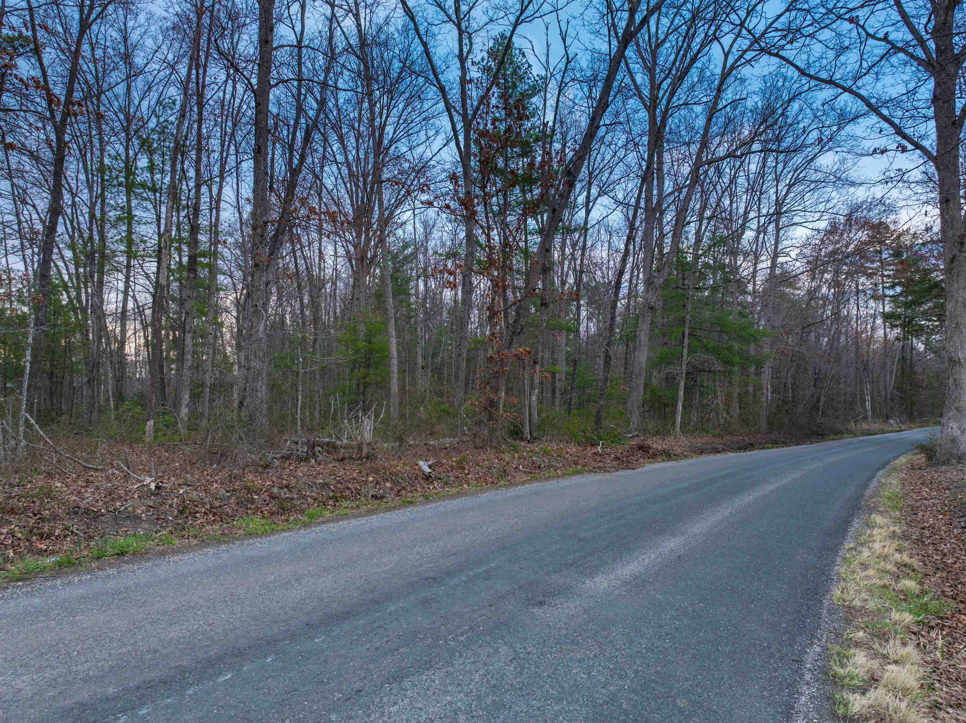TBD EAST BRANCH LOOP, ROSELAND, Virginia 22967, ,Land,TBD EAST BRANCH LOOP,681027 MLS # 681027