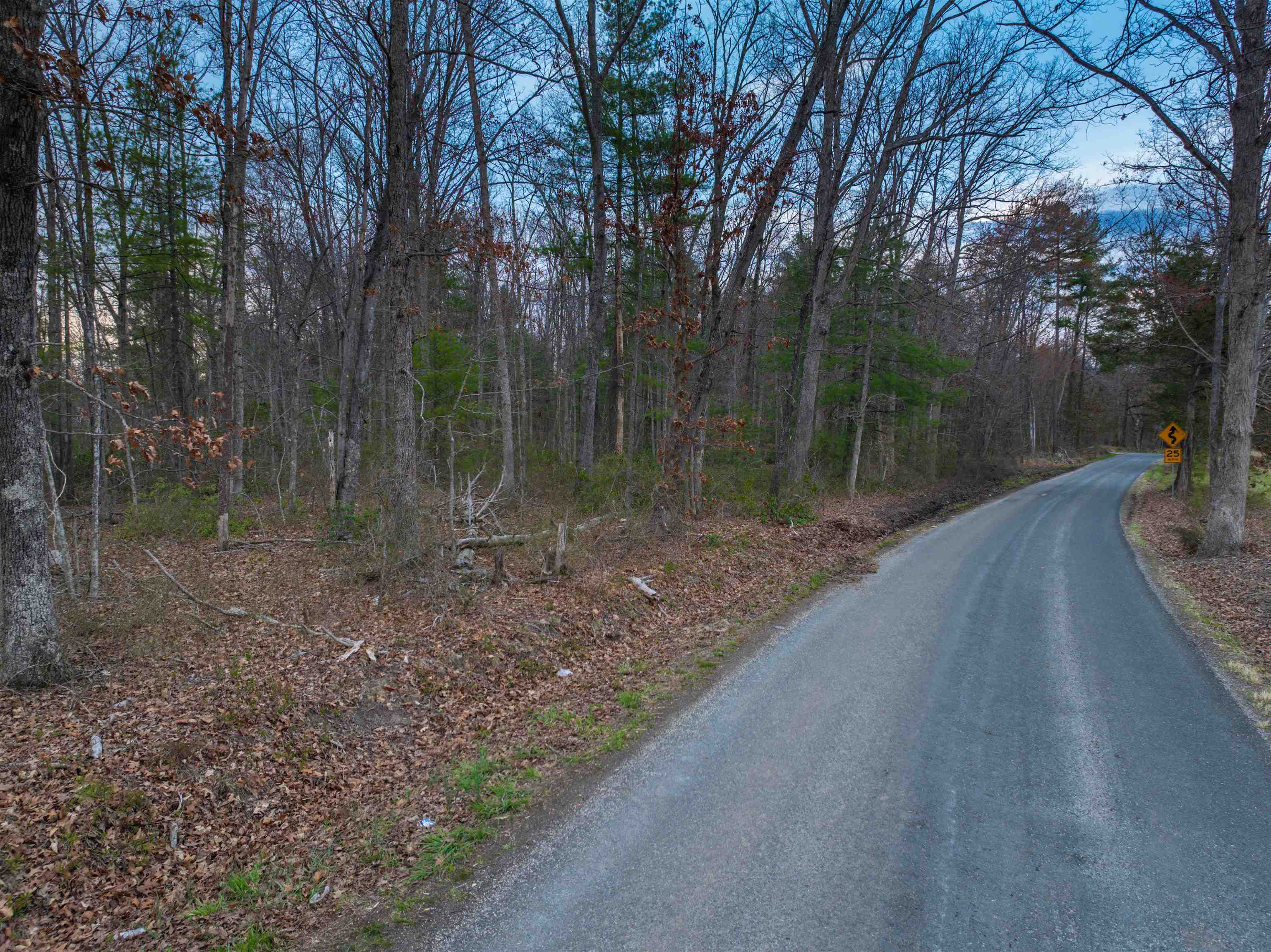 TBD EAST BRANCH LOOP, ROSELAND, Virginia 22967, ,Land,TBD EAST BRANCH LOOP,681027 MLS # 681027