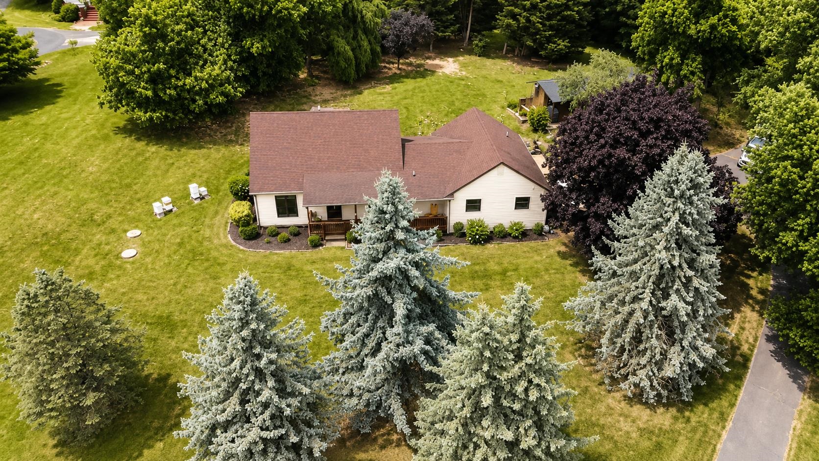147 PLEASANT VIEW RD, STAUNTON, Virginia 24401, 3 Bedrooms Bedrooms, ,2 BathroomsBathrooms,Residential,147 PLEASANT VIEW RD,681030 MLS # 681030 147 PLEASANT VIEW RD, STAUNTON, Virginia 24401, 3 Bedrooms Bedrooms, ,2 BathroomsBathrooms,Residential,147 PLEASANT VIEW RD,681030 MLS # 681030