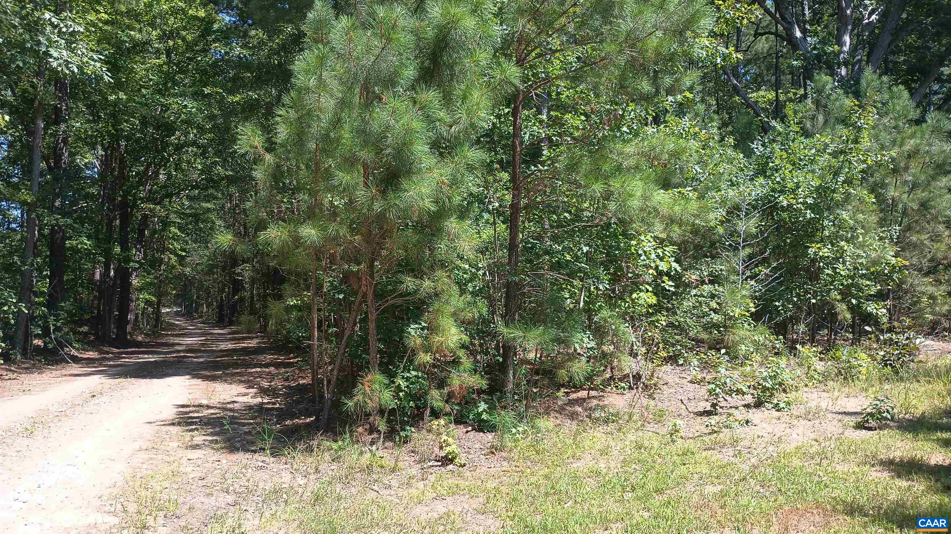 7303 BRILLS RD, MCKENNEY, Virginia 23872, 3 Bedrooms Bedrooms, ,1 BathroomBathrooms,Residential,7303 BRILLS RD,681069 MLS # 681069