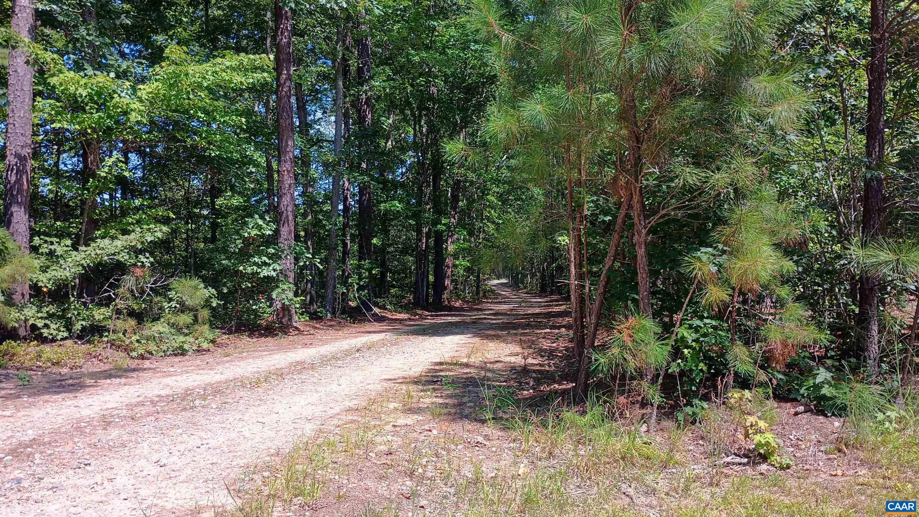 7303 BRILLS RD, MCKENNEY, Virginia 23872, 3 Bedrooms Bedrooms, ,1 BathroomBathrooms,Residential,7303 BRILLS RD,681069 MLS # 681069