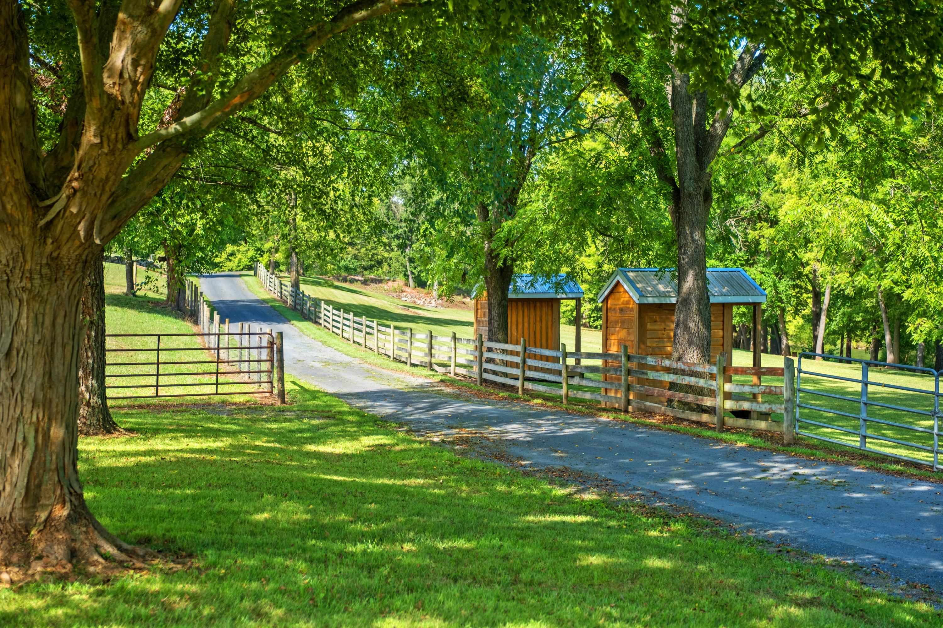 14238 PLAINS MILL RD, TIMBERVILLE, Virginia 22853, 3 Bedrooms Bedrooms, ,4 BathroomsBathrooms,Residential,14238 PLAINS MILL RD,681073 MLS # 681073 14238 PLAINS MILL RD, TIMBERVILLE, Virginia 22853, 3 Bedrooms Bedrooms, ,4 BathroomsBathrooms,Residential,14238 PLAINS MILL RD,681073 MLS # 681073
