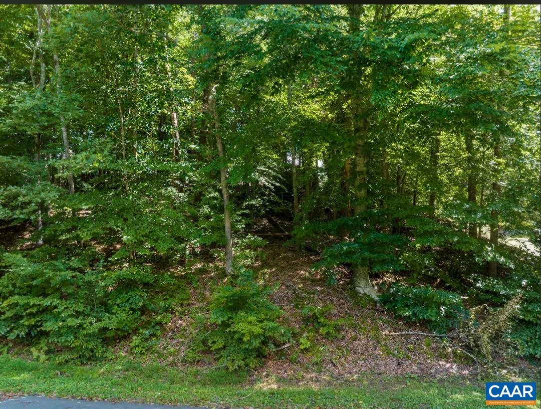 0 OVERLOOK CIR, PALMYRA, Virginia 22963, ,Land,0 OVERLOOK CIR,681106 MLS # 681106 0 OVERLOOK CIR, PALMYRA, Virginia 22963, ,Land,0 OVERLOOK CIR,681106 MLS # 681106