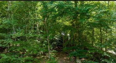 0 OVERLOOK CIR, PALMYRA, Virginia 22963, ,Land,0 OVERLOOK CIR,681106 MLS # 681106