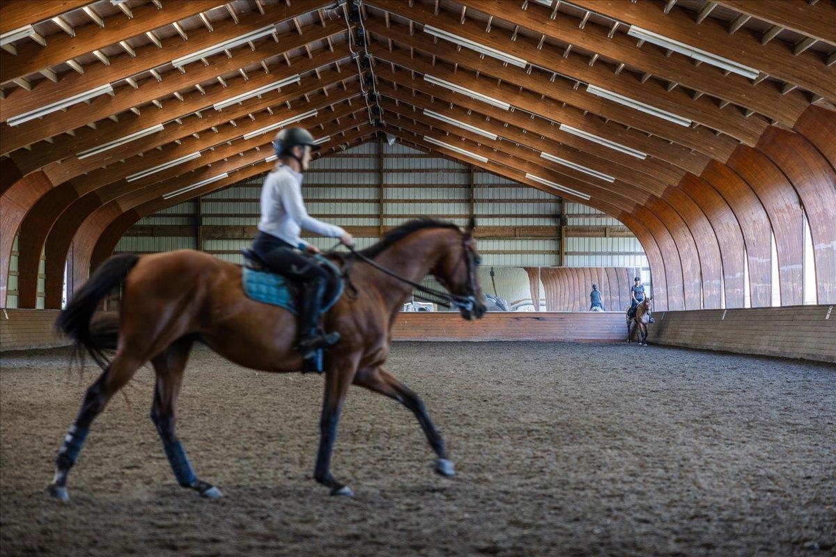 Approximately 14,400 sq. ft., with an additional 4' overhang. Constructed in 2005, the arena features a laminated wood beam structure with aluminum siding along one long wall and one end wall. The riding surface consists of crusher run/sand/Trutex Approximately 14,400 sq. ft., with an additional 4' overhang. Constructed in 2005, the arena features a laminated wood beam structure with aluminum siding along one long wall and one end wall. The riding surface consists of crusher run/sand/Trutex