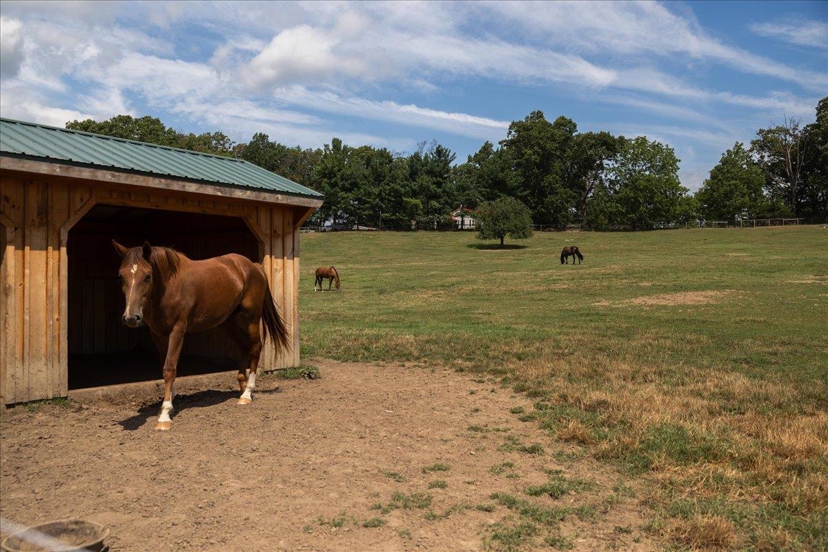 run-in shelters located throughout the property. Wood-frame construction with dirt floor and wood or metal siding. Typical size approximately 12' x 28'. run-in shelters located throughout the property. Wood-frame construction with dirt floor and wood or metal siding. Typical size approximately 12' x 28'.