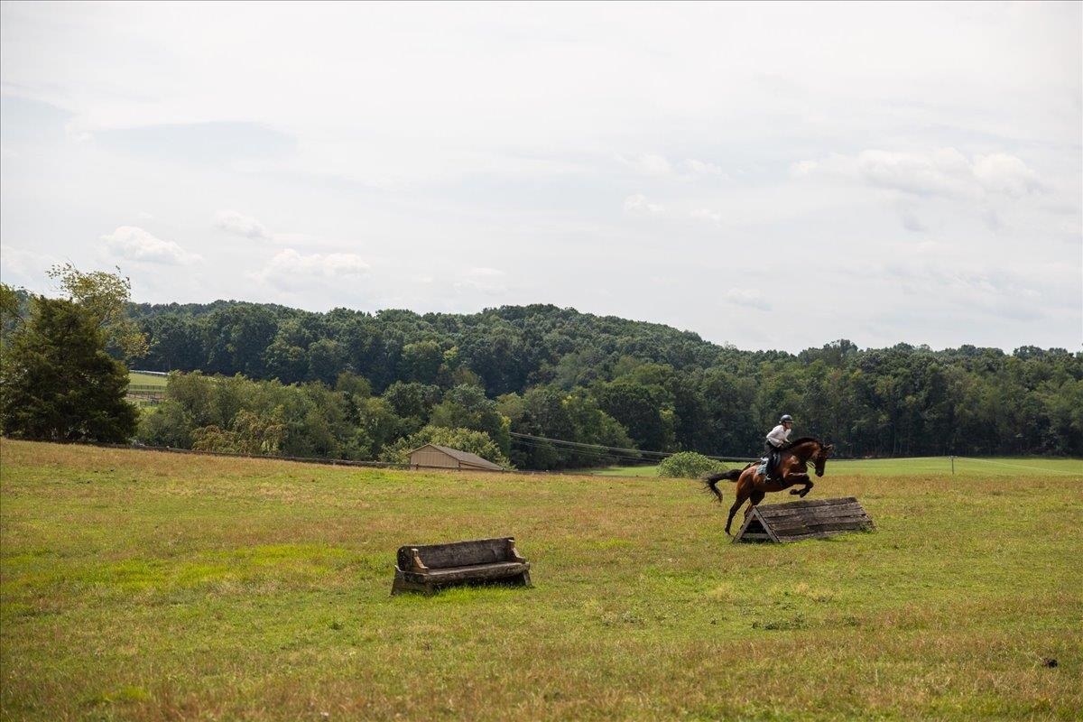 X-C course with water complex, bank steps and ditches. X-C course with water complex, bank steps and ditches.