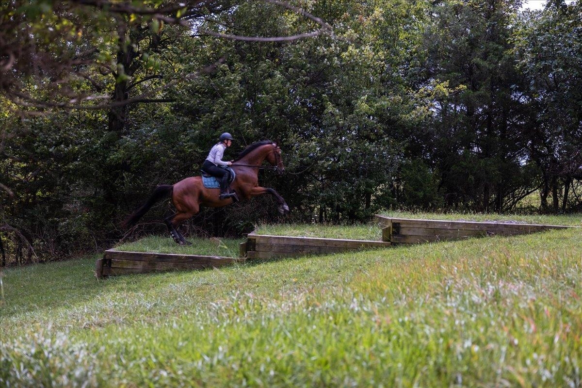 X-C course with water complex, bank steps and ditches. X-C course with water complex, bank steps and ditches.