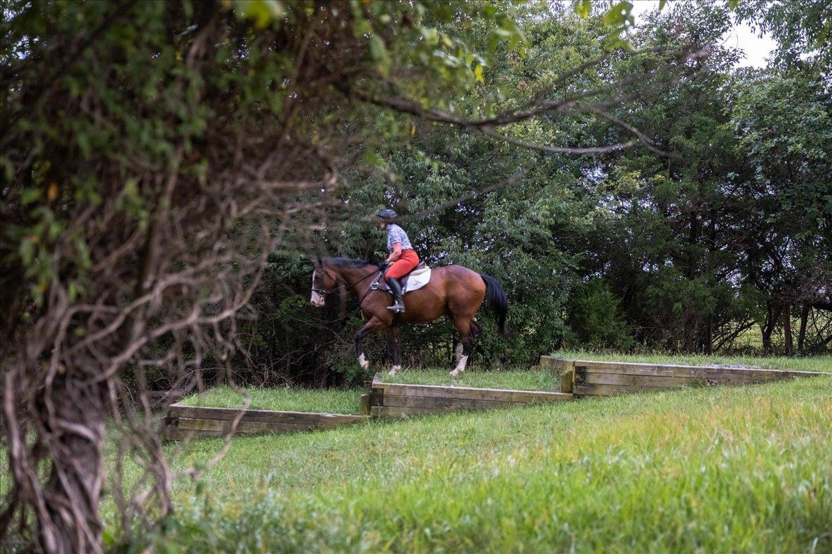 X-C course with water complex, bank steps and ditches. X-C course with water complex, bank steps and ditches.
