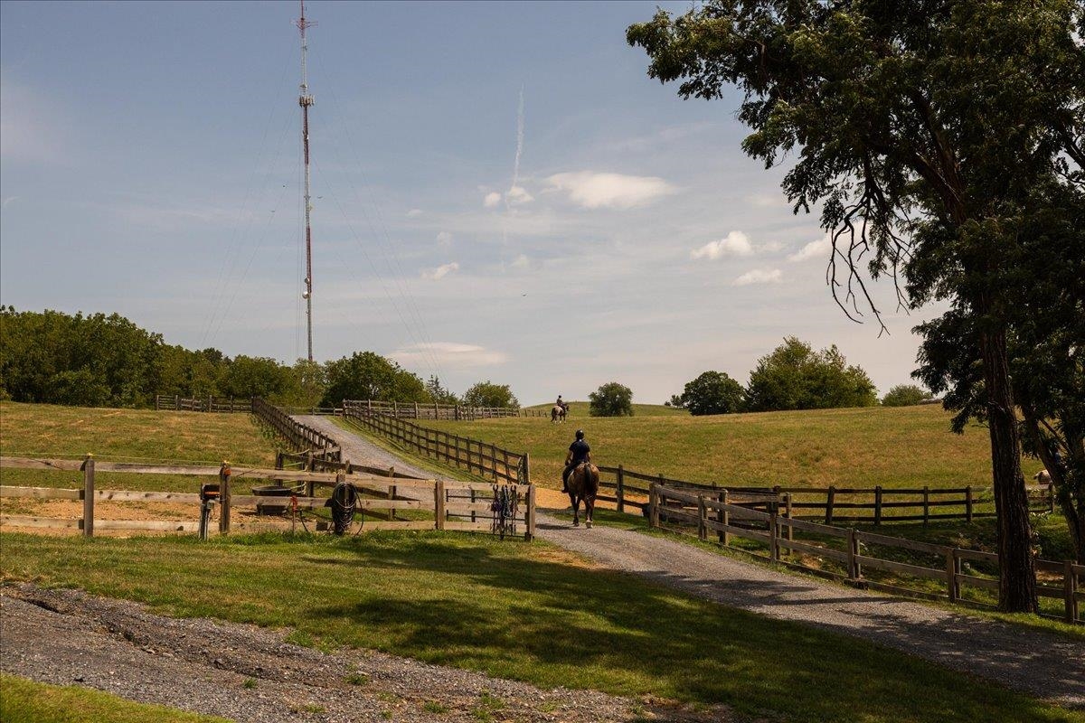 2435 SHUTTERLEE MILL RD, STAUNTON, Virginia 24401, ,Land,2435 SHUTTERLEE MILL RD,681119 MLS # 681119 2435 SHUTTERLEE MILL RD, STAUNTON, Virginia 24401, ,Land,2435 SHUTTERLEE MILL RD,681119 MLS # 681119