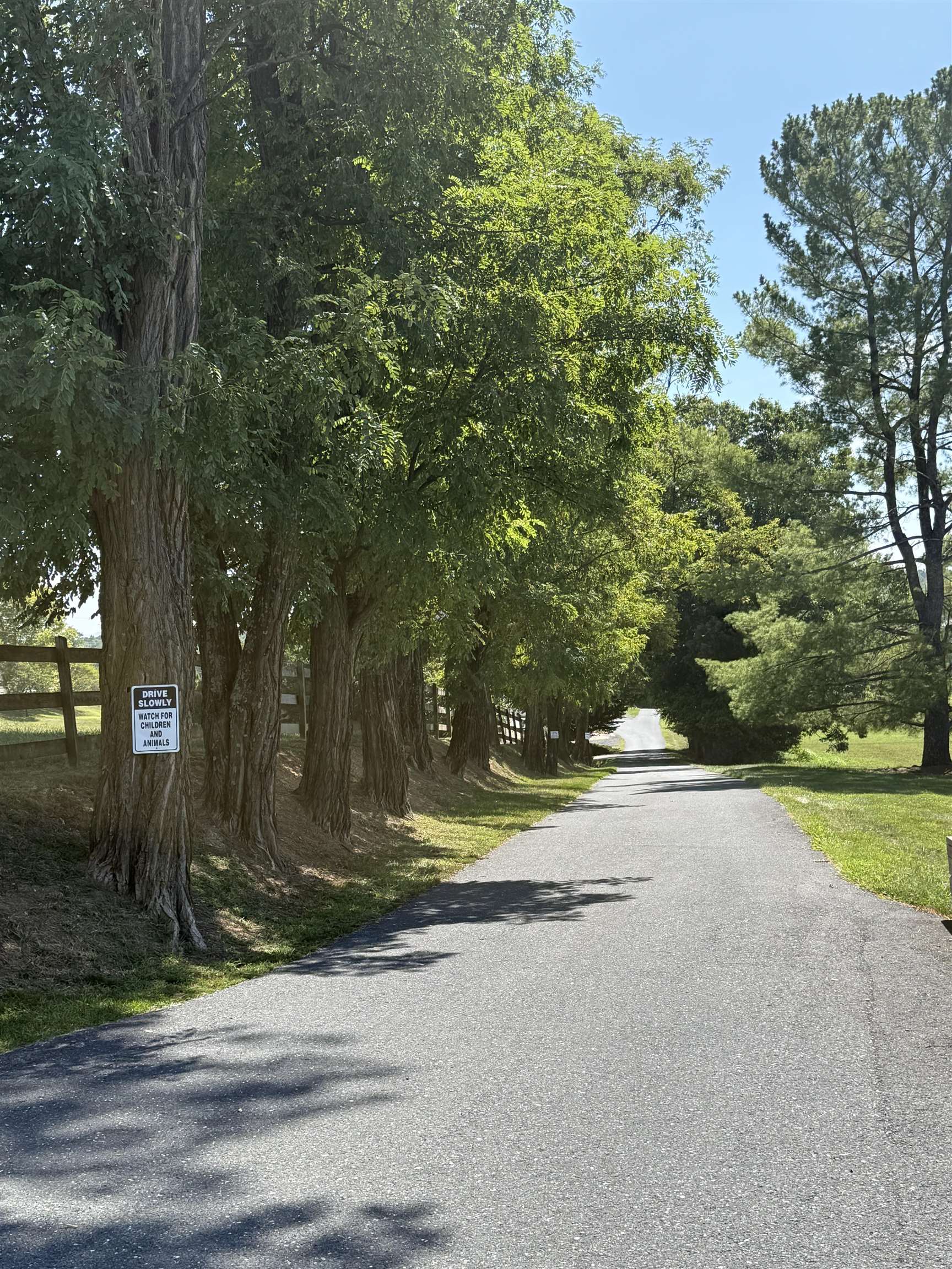 2435 SHUTTERLEE MILL RD, STAUNTON, Virginia 24401, ,Land,2435 SHUTTERLEE MILL RD,681119 MLS # 681119 2435 SHUTTERLEE MILL RD, STAUNTON, Virginia 24401, ,Land,2435 SHUTTERLEE MILL RD,681119 MLS # 681119