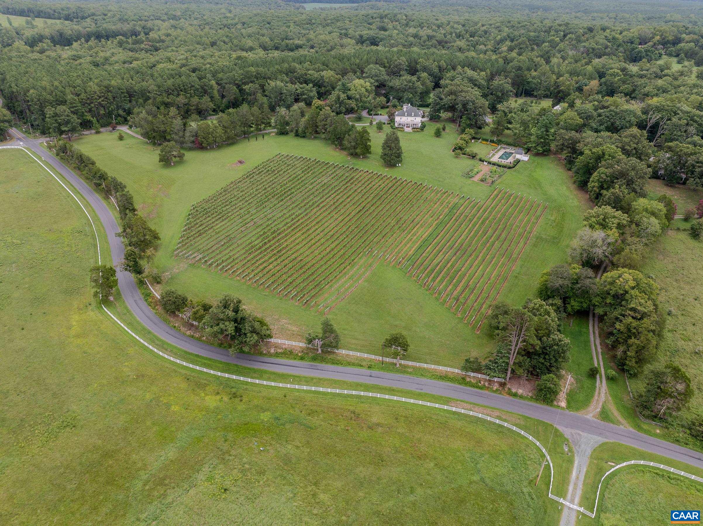 Located in the Monticello Wine Trail region this operational vineyard grows Chardonnay, Cabernet Franc, Sauvignon Gris and Masant grapes.