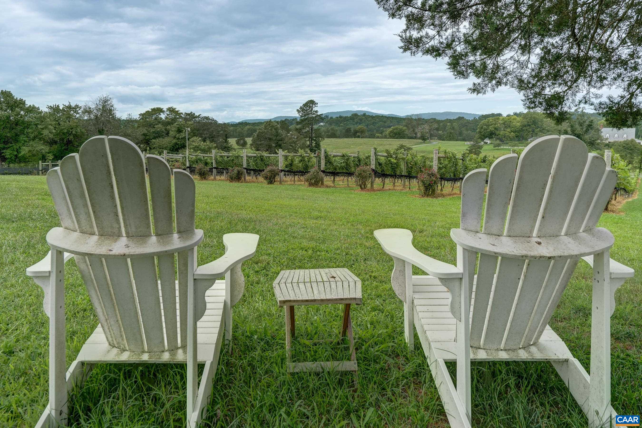 Relax overlooking the vineyard.