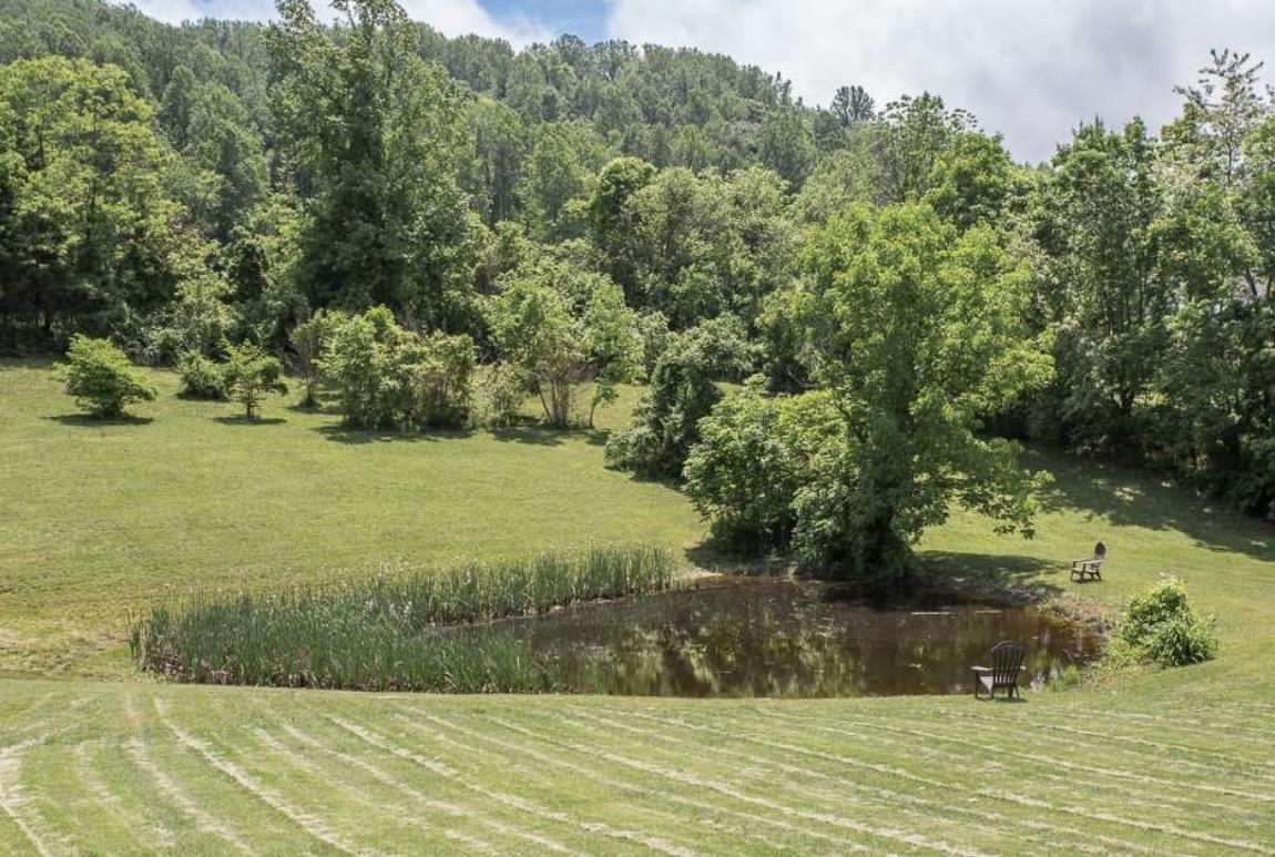 20448 MT PLEASANT RD, ELKTON, Virginia 22827, 5 Bedrooms Bedrooms, ,3 BathroomsBathrooms,Residential,20448 MT PLEASANT RD,681125 MLS # 681125 20448 MT PLEASANT RD, ELKTON, Virginia 22827, 5 Bedrooms Bedrooms, ,3 BathroomsBathrooms,Residential,20448 MT PLEASANT RD,681125 MLS # 681125