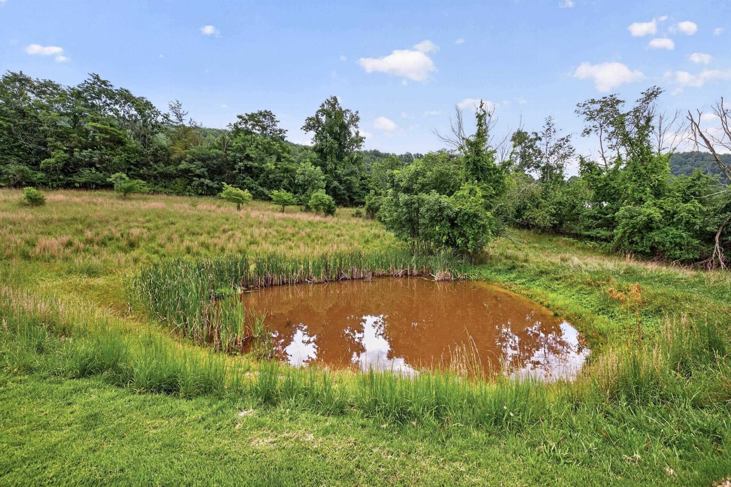 20448 MT PLEASANT RD, ELKTON, Virginia 22827, 5 Bedrooms Bedrooms, ,3 BathroomsBathrooms,Residential,20448 MT PLEASANT RD,681125 MLS # 681125 20448 MT PLEASANT RD, ELKTON, Virginia 22827, 5 Bedrooms Bedrooms, ,3 BathroomsBathrooms,Residential,20448 MT PLEASANT RD,681125 MLS # 681125