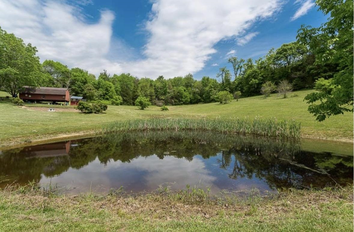 20448 MT PLEASANT RD, ELKTON, Virginia 22827, 5 Bedrooms Bedrooms, ,3 BathroomsBathrooms,Residential,20448 MT PLEASANT RD,681125 MLS # 681125 20448 MT PLEASANT RD, ELKTON, Virginia 22827, 5 Bedrooms Bedrooms, ,3 BathroomsBathrooms,Residential,20448 MT PLEASANT RD,681125 MLS # 681125