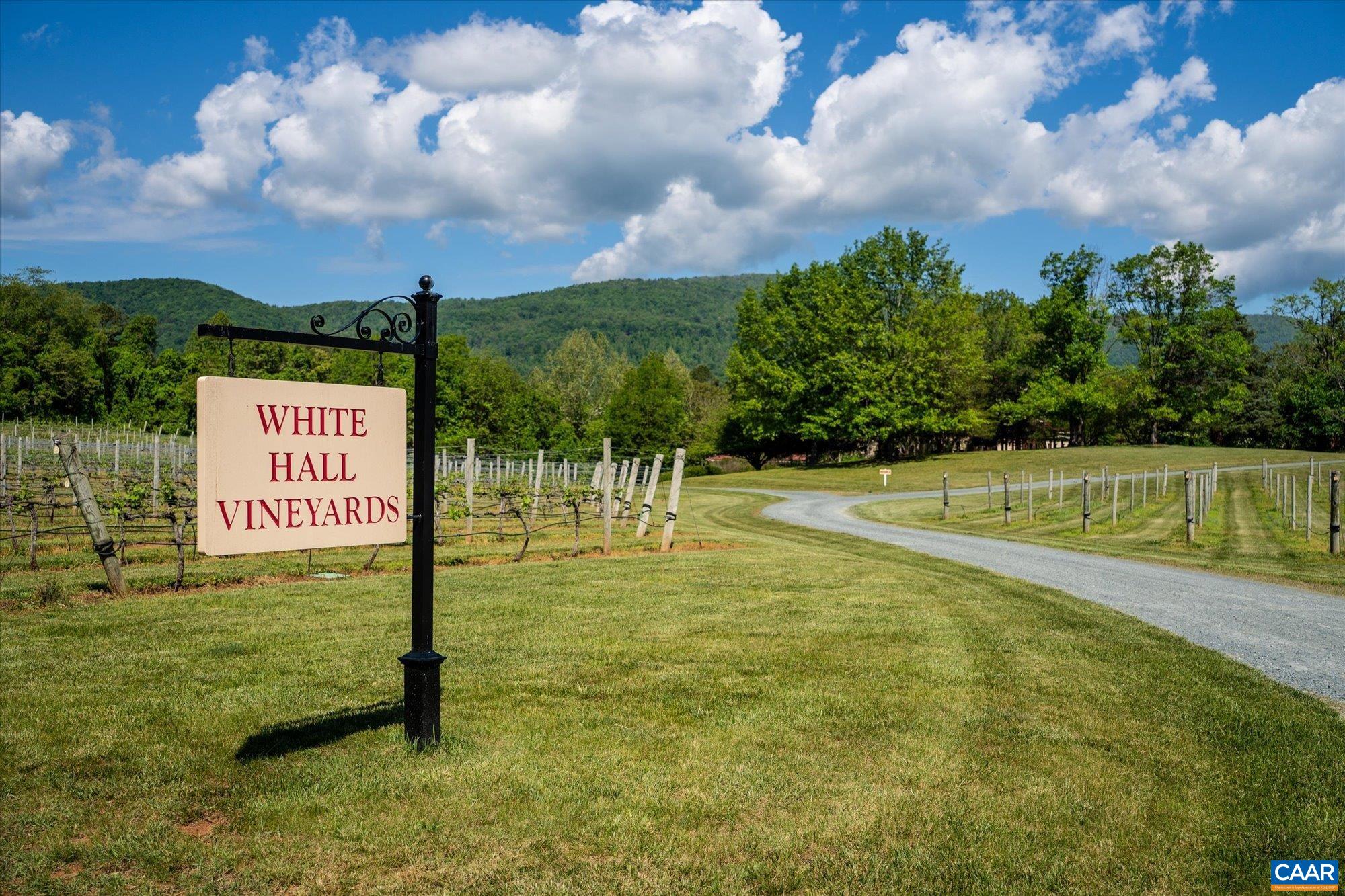 5282 SUGAR RIDGE RD, CROZET, Virginia 22932, 5 Bedrooms Bedrooms, ,4 BathroomsBathrooms,Residential,WHITE HALL ESTATE,5282 SUGAR RIDGE RD,681132 MLS # 681132 5282 SUGAR RIDGE RD, CROZET, Virginia 22932, 5 Bedrooms Bedrooms, ,4 BathroomsBathrooms,Residential,WHITE HALL ESTATE,5282 SUGAR RIDGE RD,681132 MLS # 681132