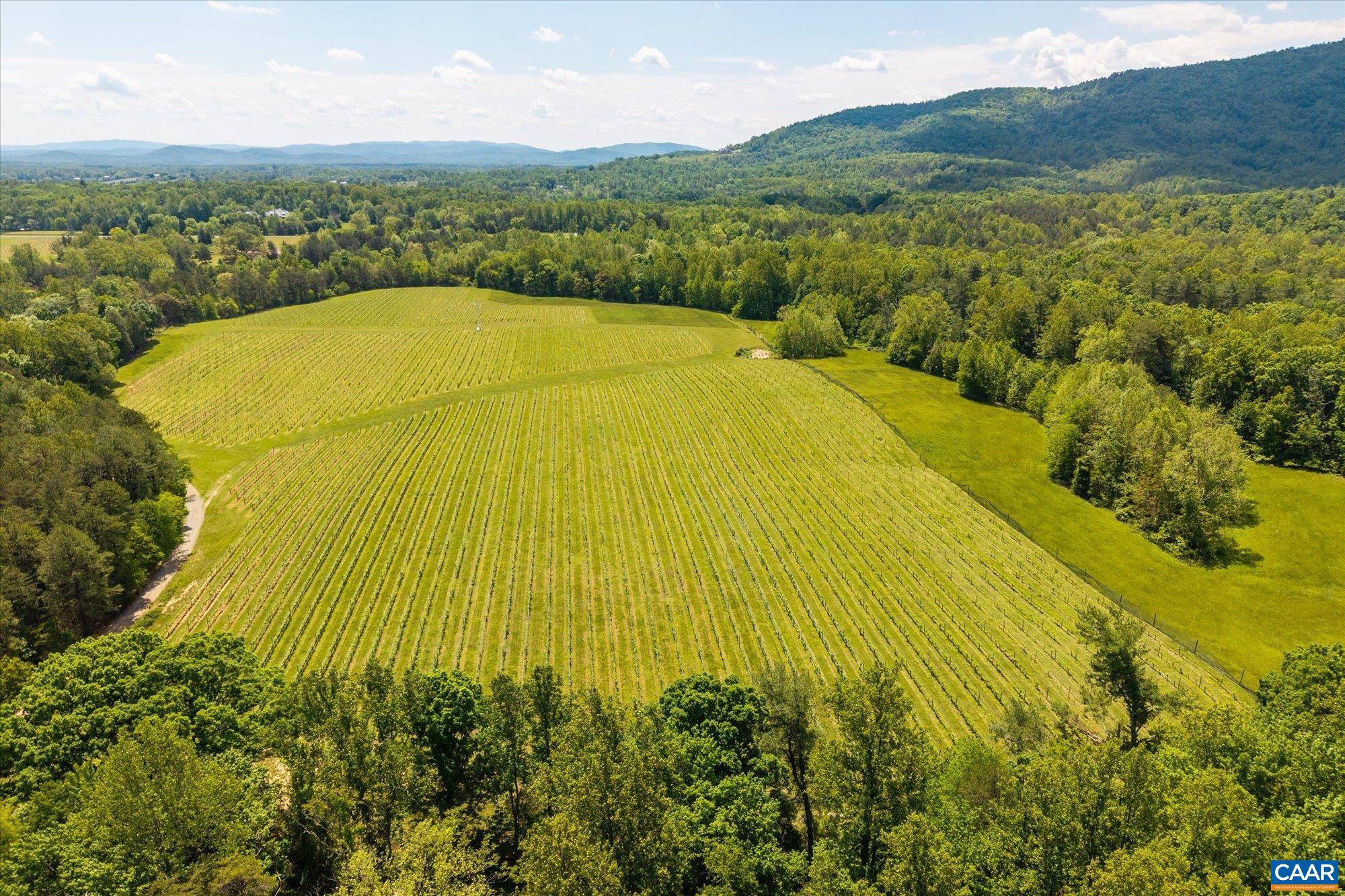 5282 SUGAR RIDGE RD, CROZET, Virginia 22932, 5 Bedrooms Bedrooms, ,4 BathroomsBathrooms,Residential,WHITE HALL ESTATE,5282 SUGAR RIDGE RD,681132 MLS # 681132 5282 SUGAR RIDGE RD, CROZET, Virginia 22932, 5 Bedrooms Bedrooms, ,4 BathroomsBathrooms,Residential,WHITE HALL ESTATE,5282 SUGAR RIDGE RD,681132 MLS # 681132