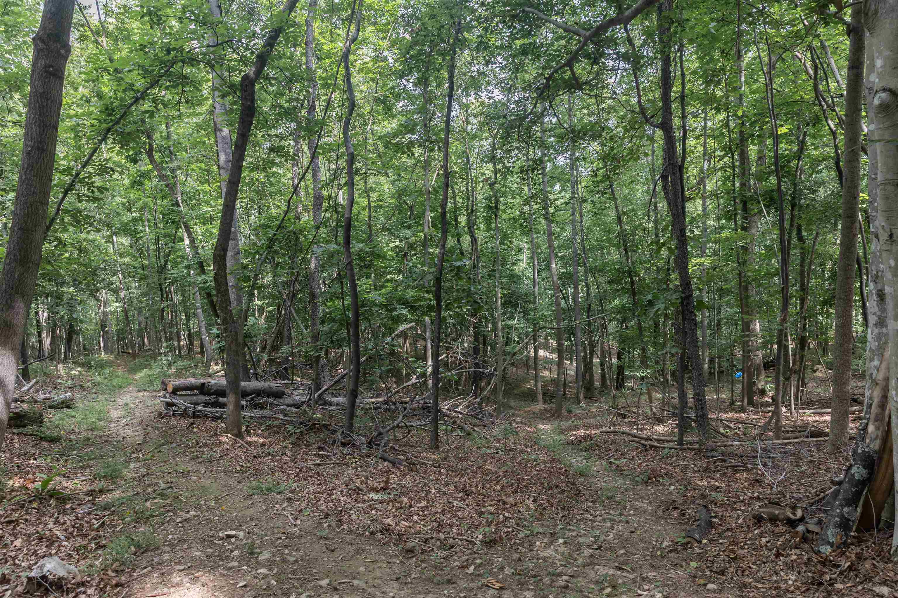 280 DOGWOOD RISE, LEXINGTON, Virginia 24450, 3 Bedrooms Bedrooms, ,3 BathroomsBathrooms,Residential,280 DOGWOOD RISE,681137 MLS # 681137 280 DOGWOOD RISE, LEXINGTON, Virginia 24450, 3 Bedrooms Bedrooms, ,3 BathroomsBathrooms,Residential,280 DOGWOOD RISE,681137 MLS # 681137