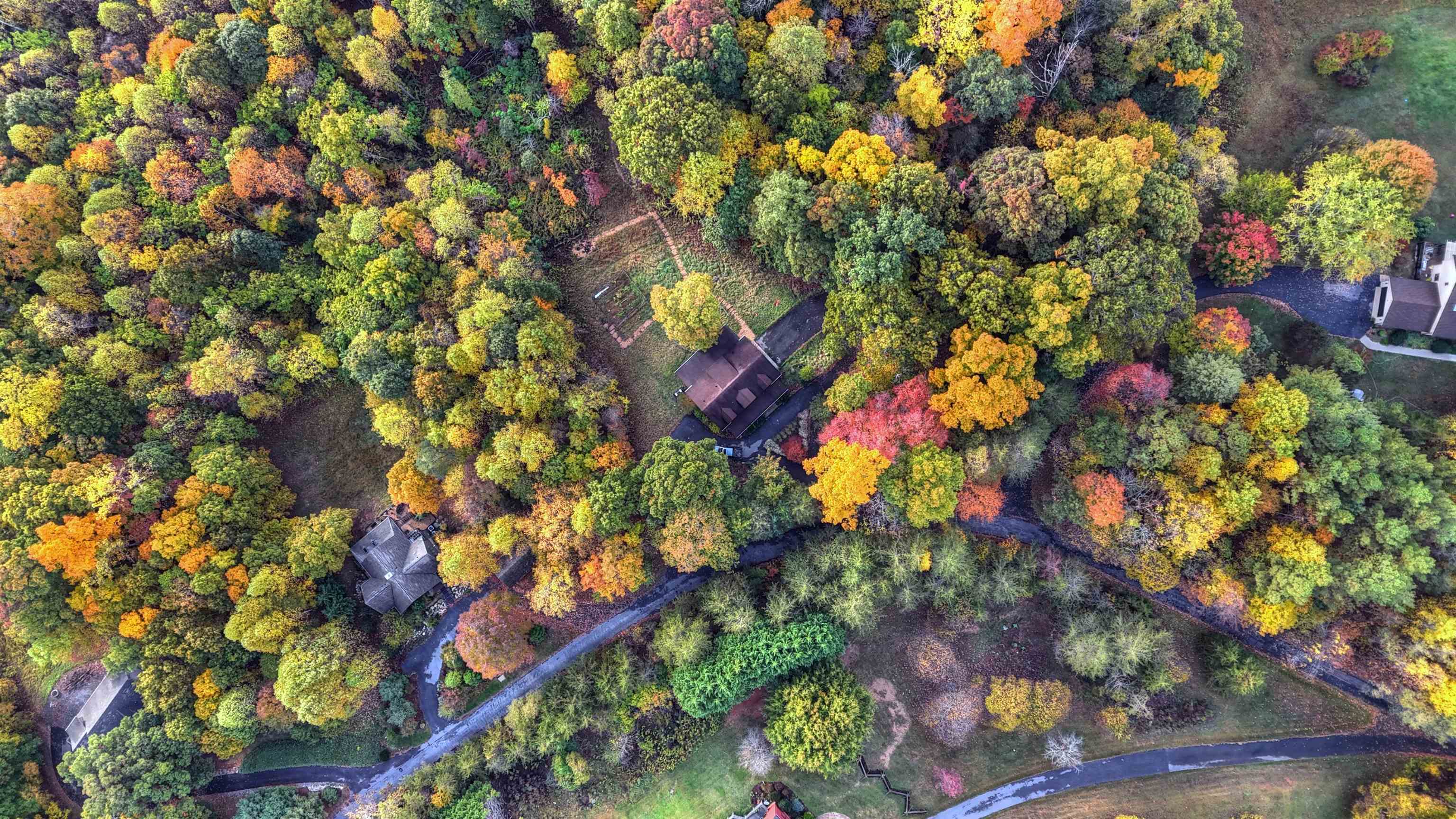 280 DOGWOOD RISE, LEXINGTON, Virginia 24450, 3 Bedrooms Bedrooms, ,3 BathroomsBathrooms,Residential,280 DOGWOOD RISE,681137 MLS # 681137 280 DOGWOOD RISE, LEXINGTON, Virginia 24450, 3 Bedrooms Bedrooms, ,3 BathroomsBathrooms,Residential,280 DOGWOOD RISE,681137 MLS # 681137