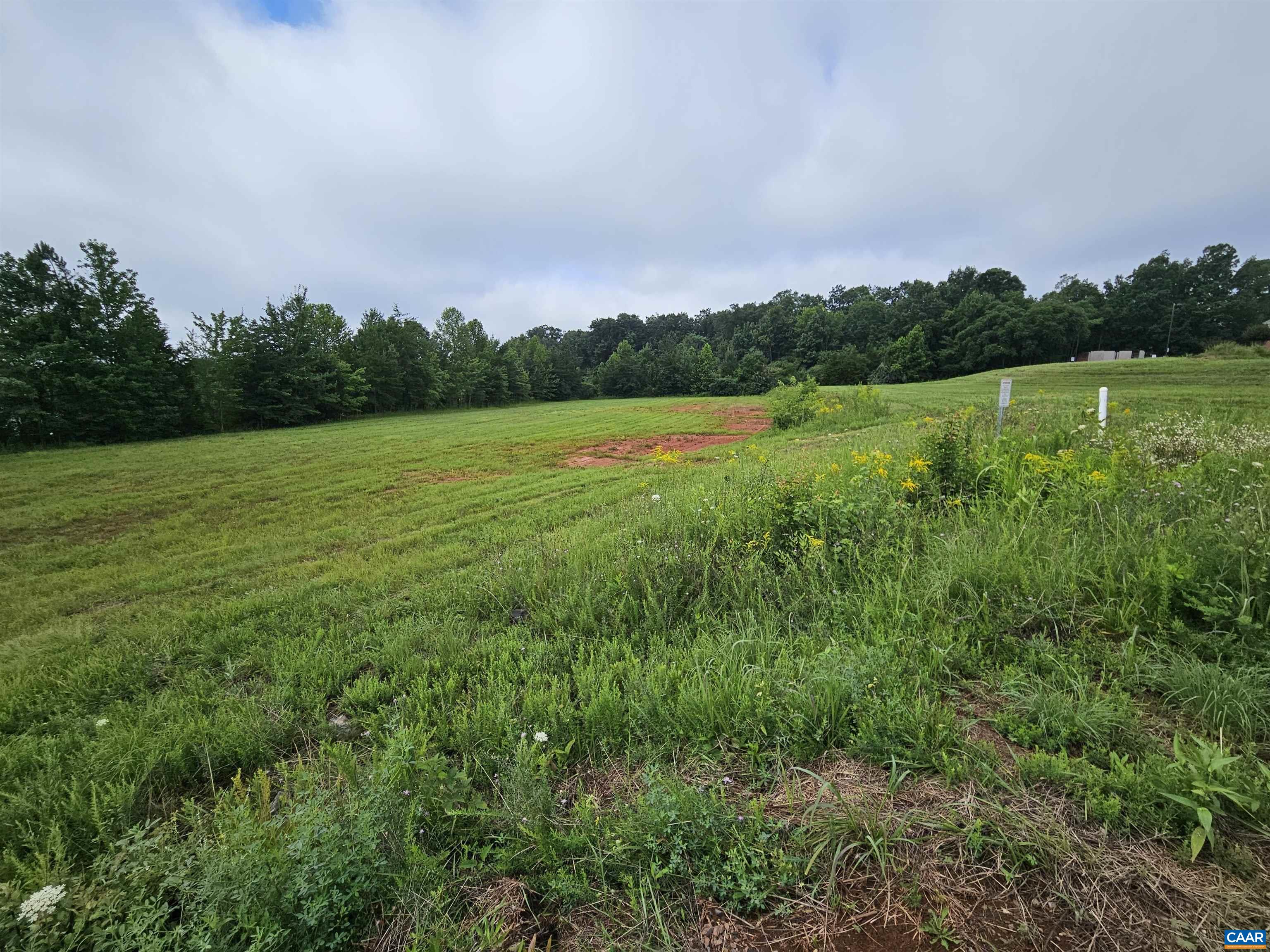 2 Lots BUCKINGHAM CENTRE DR, DILLWYN, Virginia 23936, ,Land,2 Lots BUCKINGHAM CENTRE DR,681192 MLS # 681192 2 Lots BUCKINGHAM CENTRE DR, DILLWYN, Virginia 23936, ,Land,2 Lots BUCKINGHAM CENTRE DR,681192 MLS # 681192