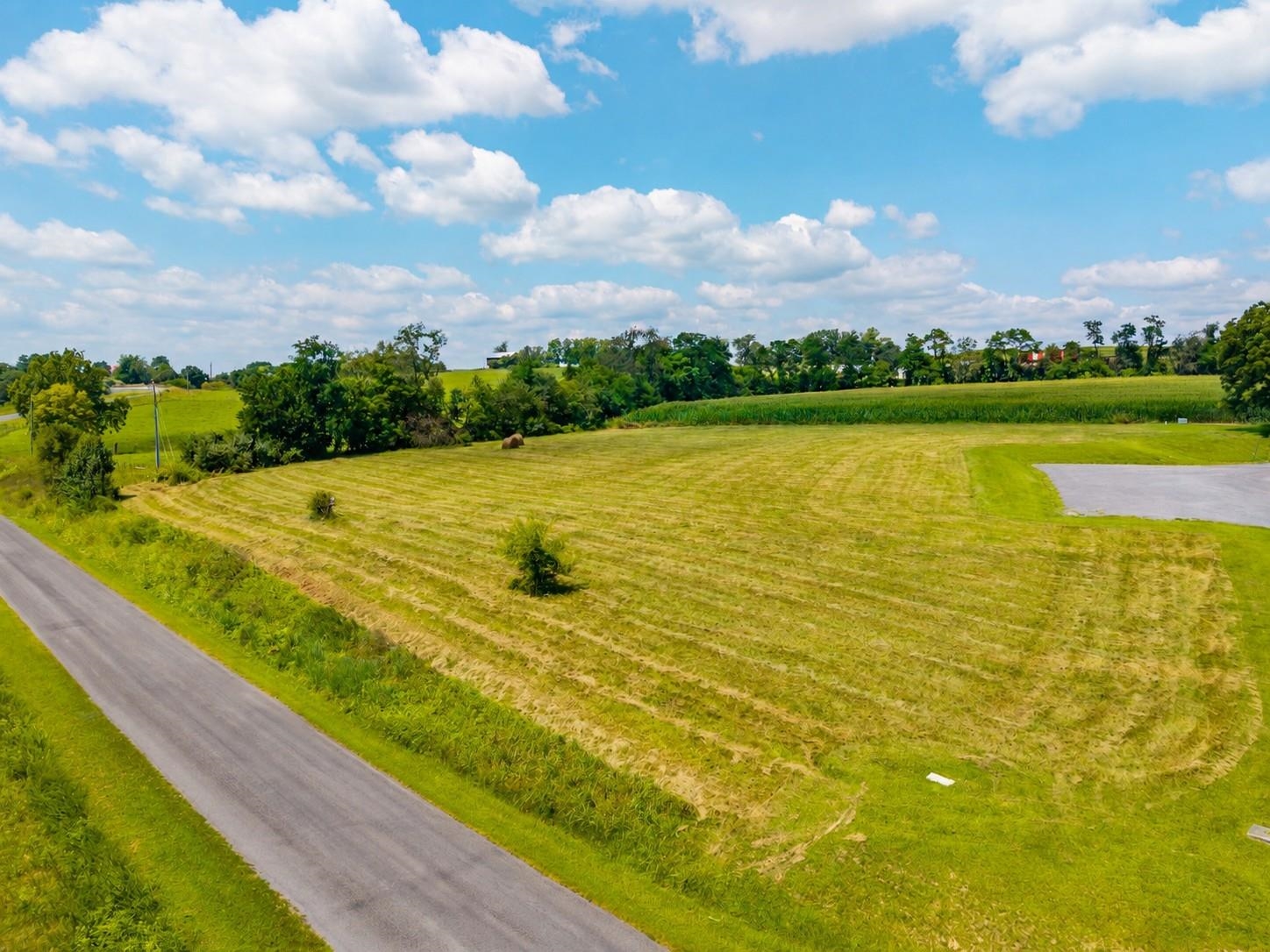 0 TISINGER RD, MOUNT JACKSON, Virginia 22842, ,Land,0 TISINGER RD,680939 MLS # 680939 0 TISINGER RD, MOUNT JACKSON, Virginia 22842, ,Land,0 TISINGER RD,680939 MLS # 680939