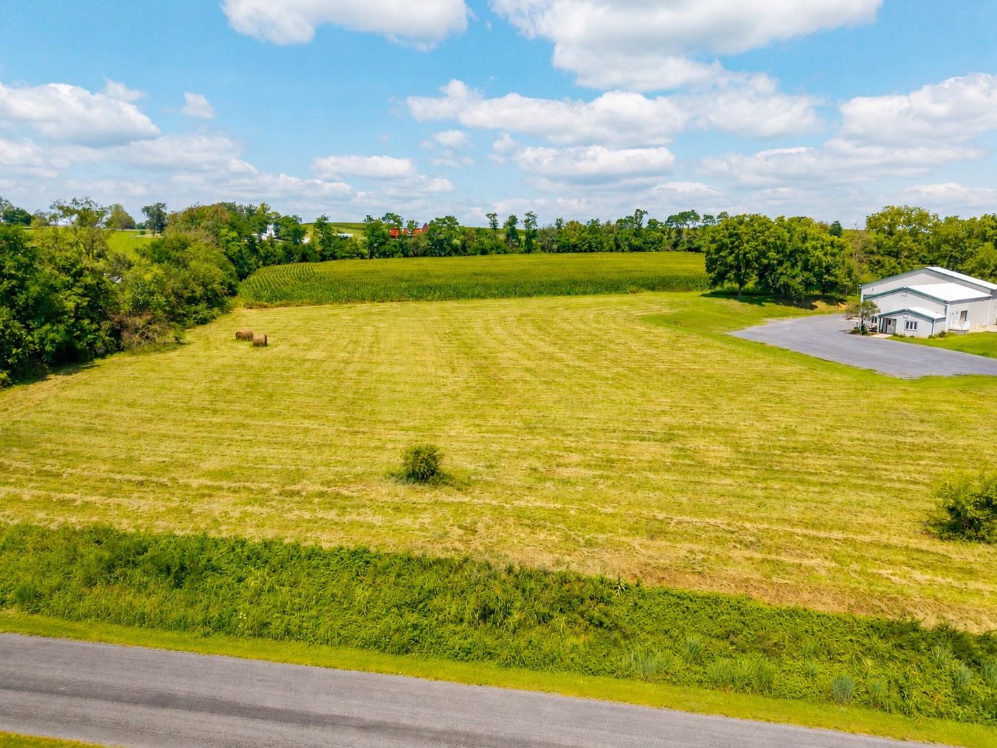 0 TISINGER RD, MOUNT JACKSON, Virginia 22842, ,Land,0 TISINGER RD,680939 MLS # 680939 0 TISINGER RD, MOUNT JACKSON, Virginia 22842, ,Land,0 TISINGER RD,680939 MLS # 680939