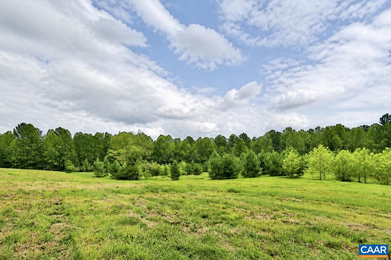 TBD FORLOINES DR, CHARLOTTESVILLE, Virginia 22911, ,Land,Mountain Vista Lot 16,TBD FORLOINES DR,681210 MLS # 681210 TBD FORLOINES DR, CHARLOTTESVILLE, Virginia 22911, ,Land,Mountain Vista Lot 16,TBD FORLOINES DR,681210 MLS # 681210