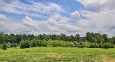 TBD FORLOINES DR, CHARLOTTESVILLE, Virginia 22911, ,Land,Mountain Vista Lot 16,TBD FORLOINES DR,681210 MLS # 681210