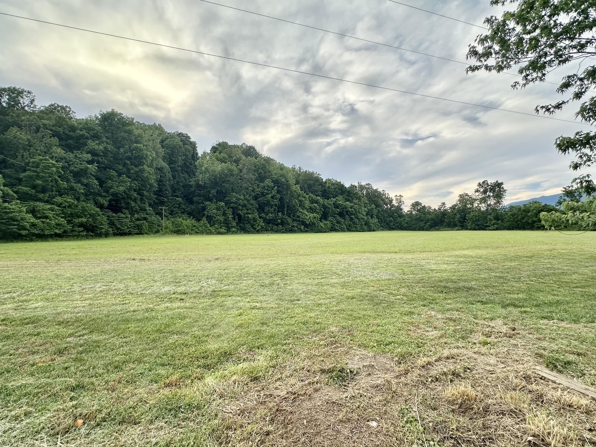 2221 CRABTREE FALLS HWY, MASSIES MILL, Virginia 22967, 3 Bedrooms Bedrooms, ,2 BathroomsBathrooms,Residential,Updates, 1/2 acre lot,2221 CRABTREE FALLS HWY,678592 MLS # 678592 2221 CRABTREE FALLS HWY, MASSIES MILL, Virginia 22967, 3 Bedrooms Bedrooms, ,2 BathroomsBathrooms,Residential,Updates, 1/2 acre lot,2221 CRABTREE FALLS HWY,678592 MLS # 678592