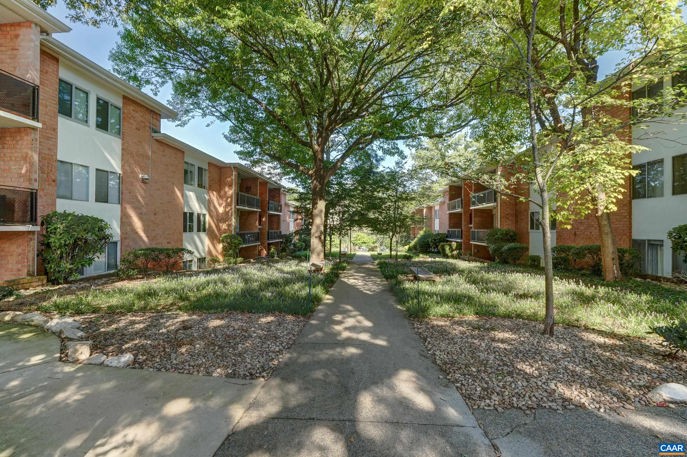 1800 JEFFERSON PARK AVE, CHARLOTTESVILLE, Virginia 22903, 2 Bedrooms Bedrooms, ,1 BathroomBathrooms,Residential,1800 JEFFERSON PARK AVE,681183 MLS # 681183 1800 JEFFERSON PARK AVE, CHARLOTTESVILLE, Virginia 22903, 2 Bedrooms Bedrooms, ,1 BathroomBathrooms,Residential,1800 JEFFERSON PARK AVE,681183 MLS # 681183