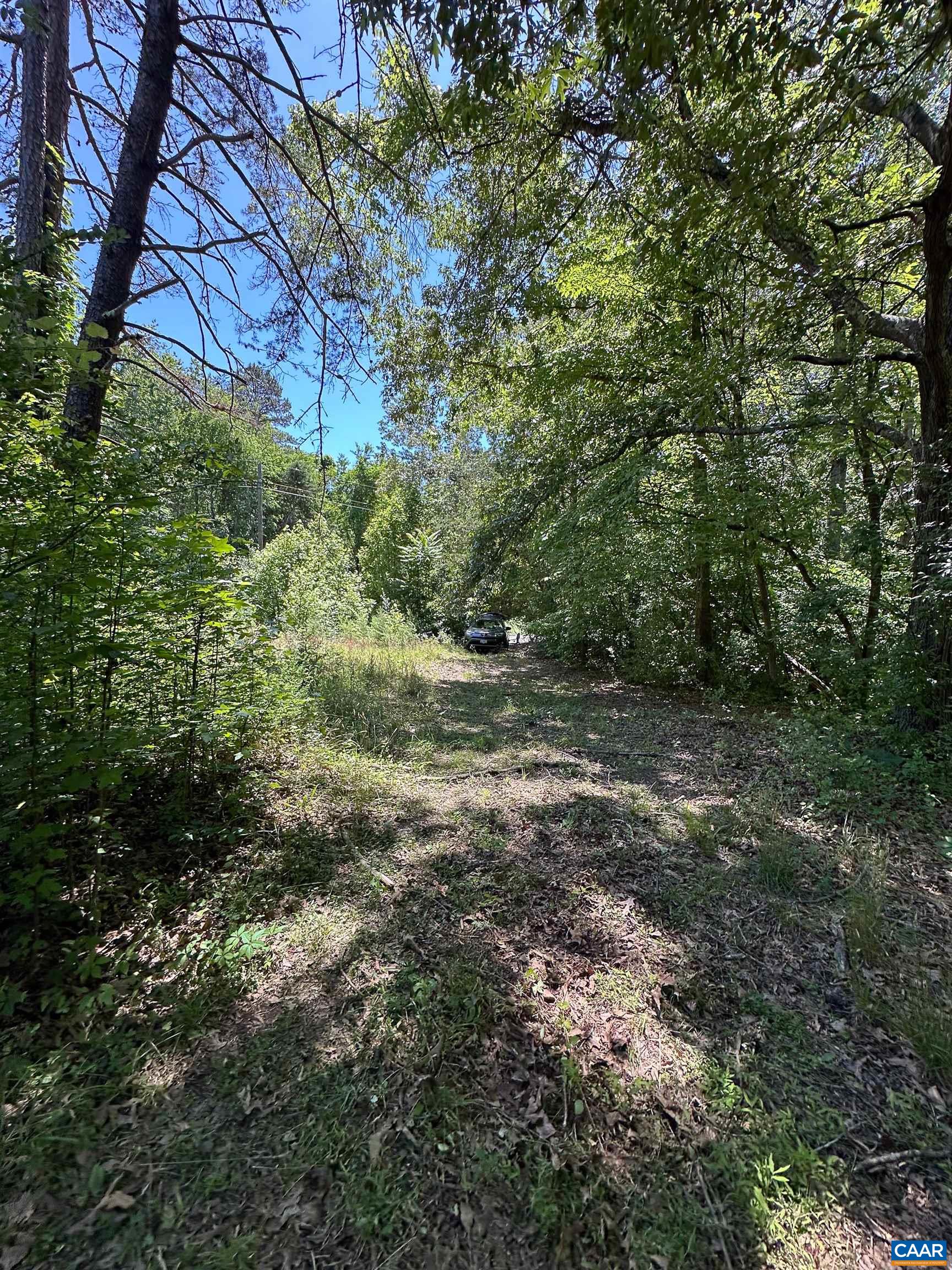 3337 CEDAR HILL RD, MINERAL, Virginia 23117, ,Land,3337 CEDAR HILL RD,681244 MLS # 681244