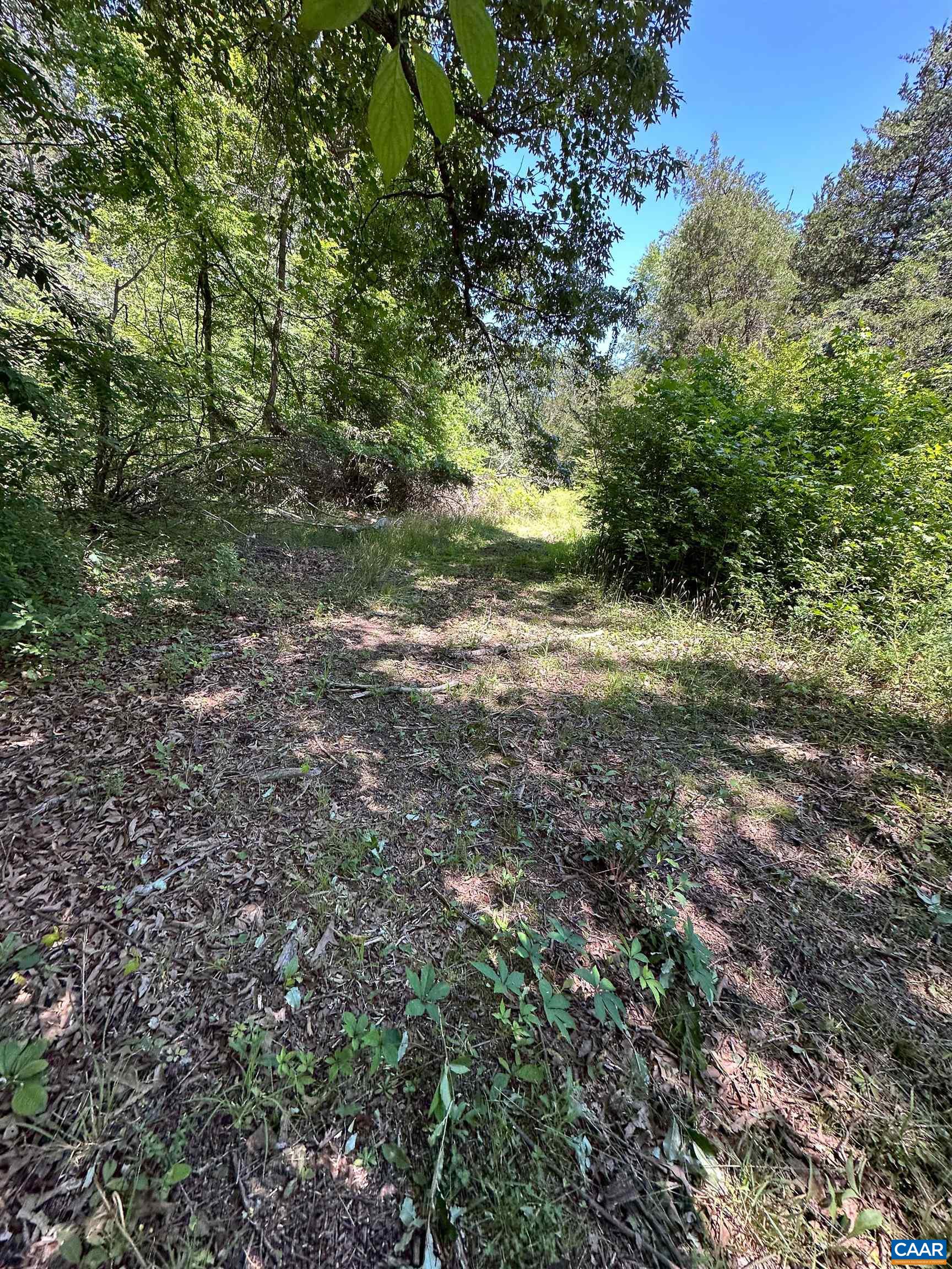 3337 CEDAR HILL RD, MINERAL, Virginia 23117, ,Land,3337 CEDAR HILL RD,681244 MLS # 681244