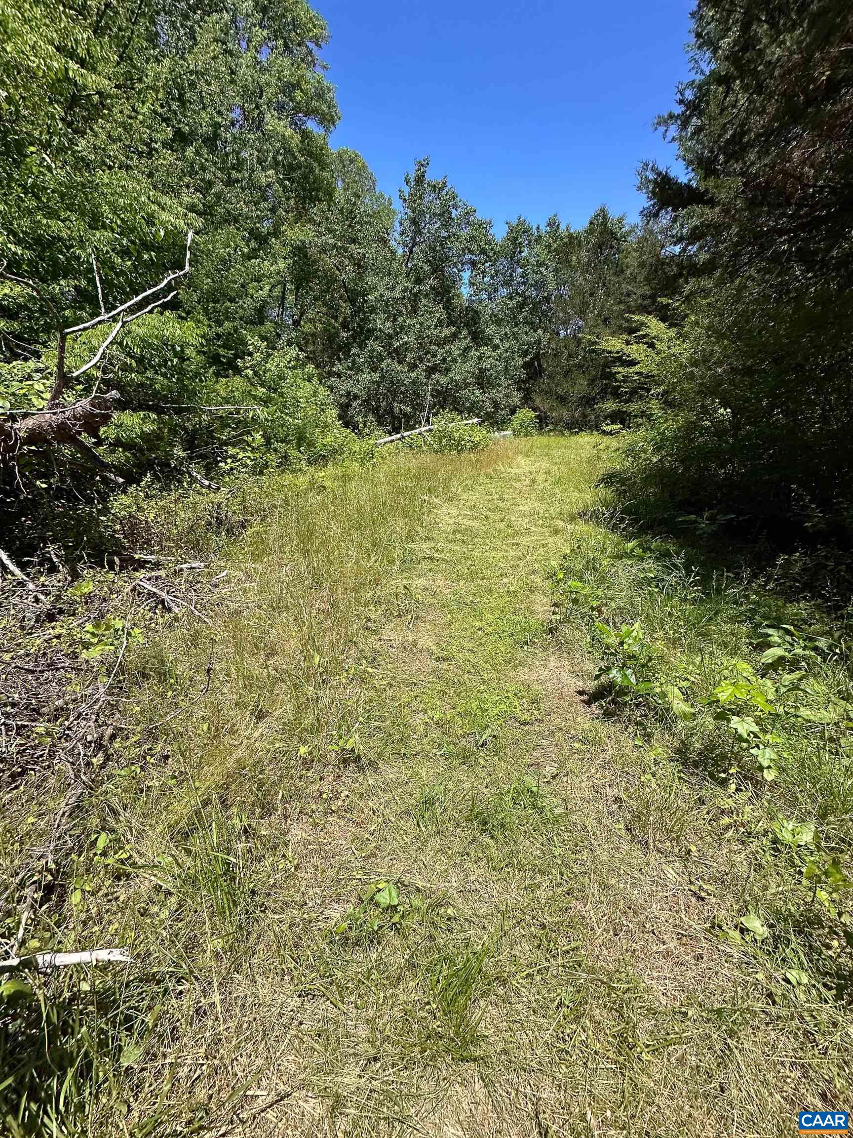 3337 CEDAR HILL RD, MINERAL, Virginia 23117, ,Land,3337 CEDAR HILL RD,681244 MLS # 681244