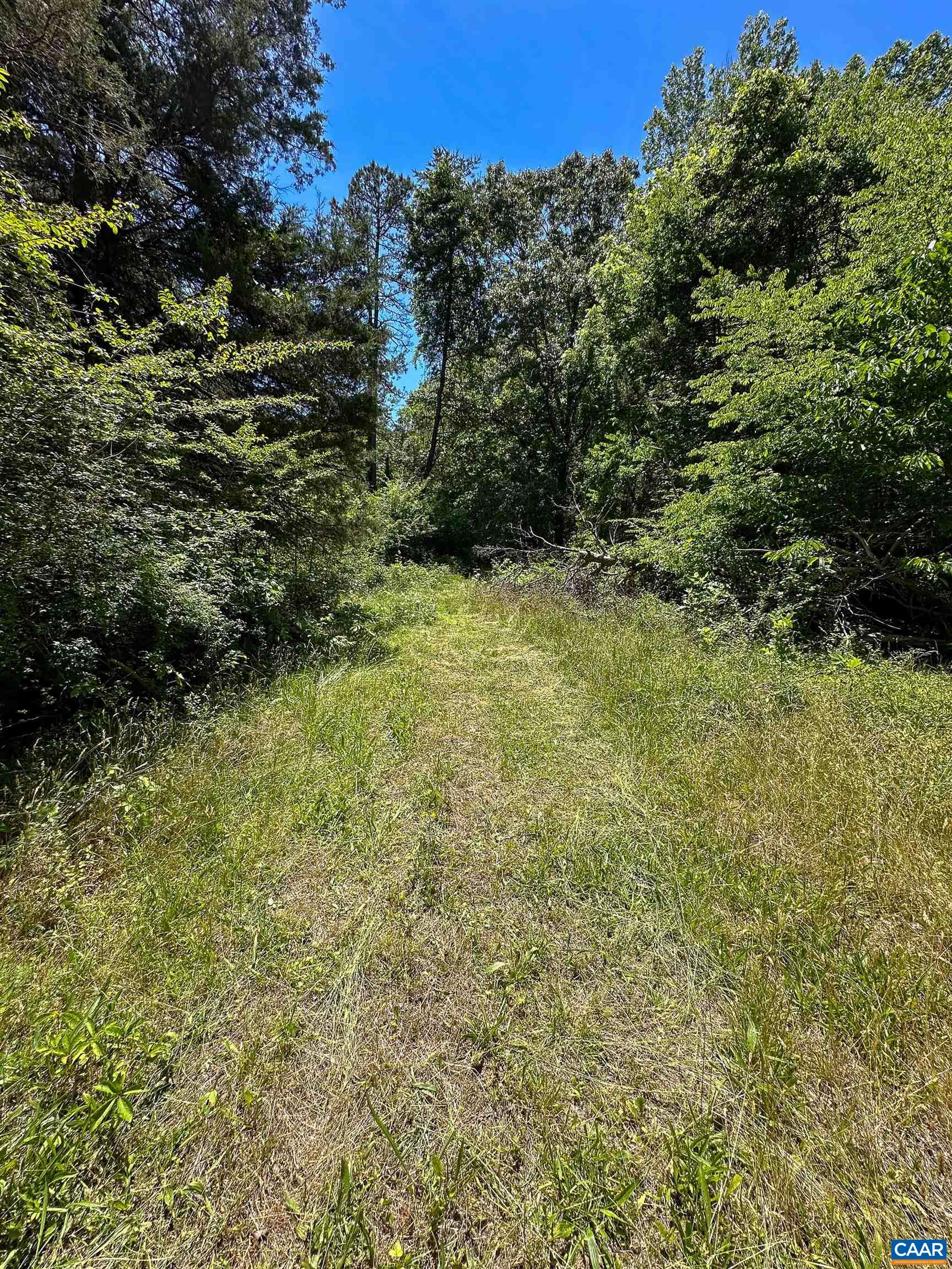 3337 CEDAR HILL RD, MINERAL, Virginia 23117, ,Land,3337 CEDAR HILL RD,681244 MLS # 681244