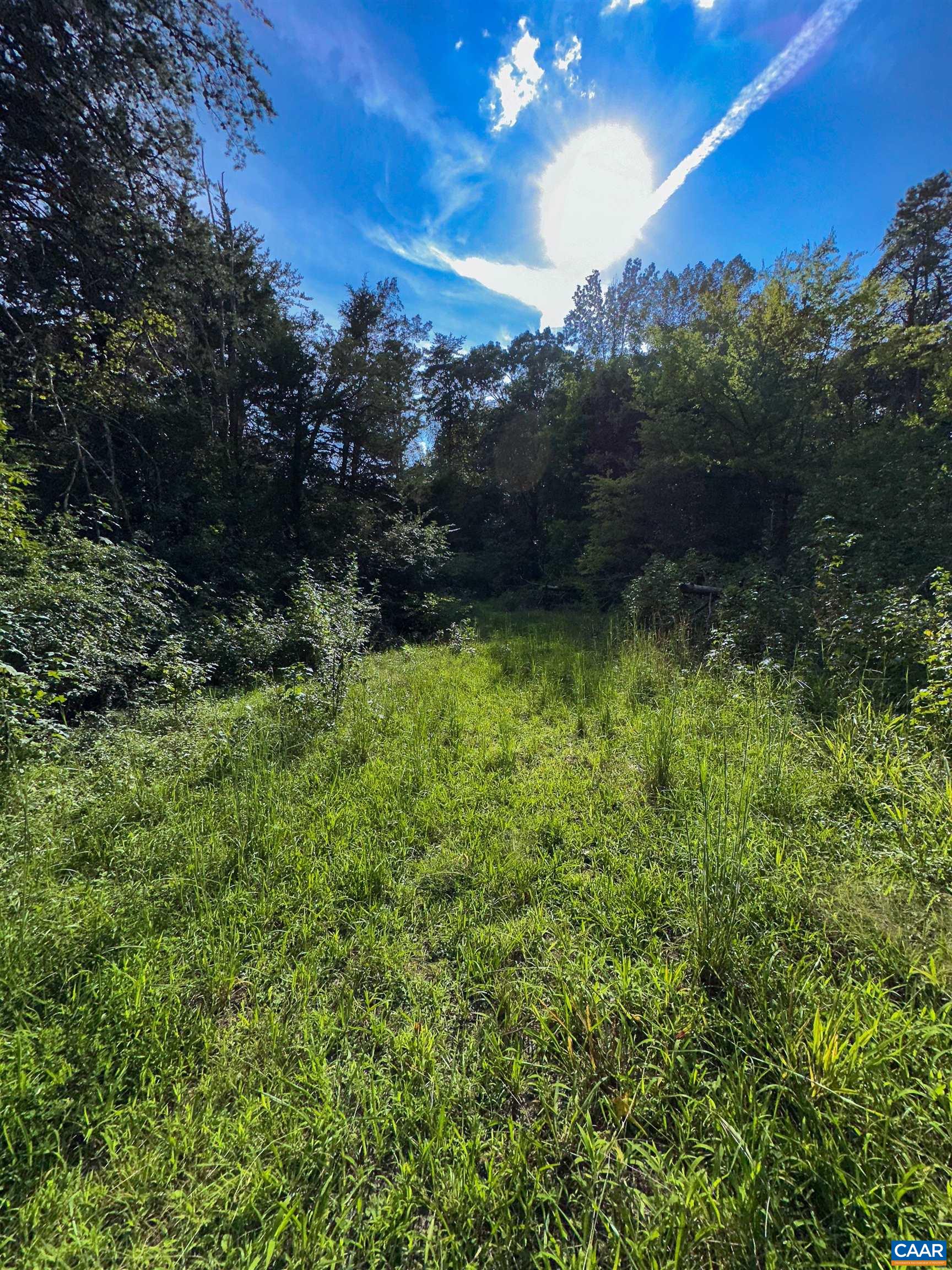 3337 CEDAR HILL RD, MINERAL, Virginia 23117, ,Land,3337 CEDAR HILL RD,681244 MLS # 681244