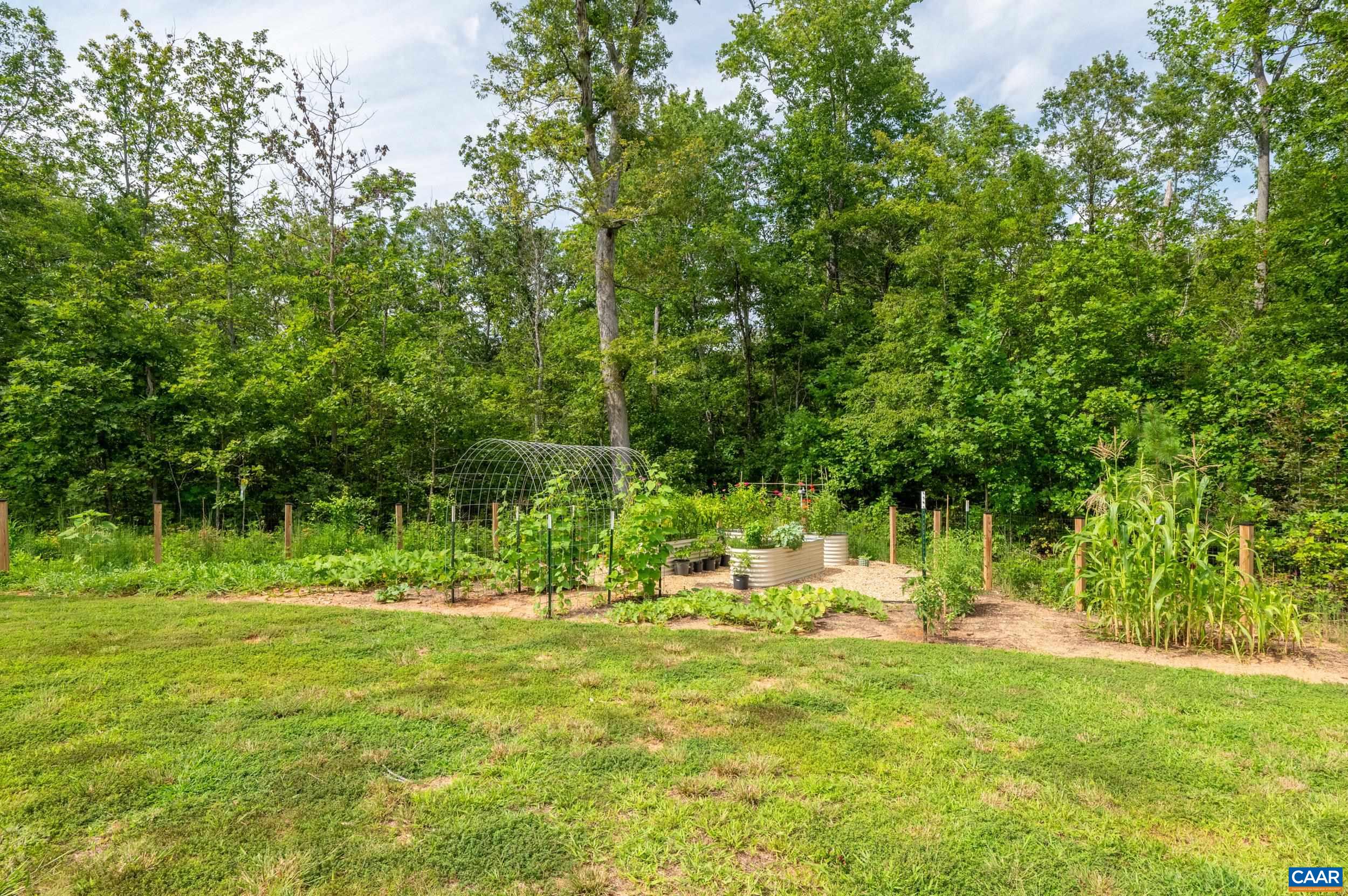 3230 POLECAT CREEK LN, SCOTTSVILLE, Virginia 24590, 3 Bedrooms Bedrooms, ,2 BathroomsBathrooms,Residential,3230 POLECAT CREEK LN,681194 MLS # 681194 3230 POLECAT CREEK LN, SCOTTSVILLE, Virginia 24590, 3 Bedrooms Bedrooms, ,2 BathroomsBathrooms,Residential,3230 POLECAT CREEK LN,681194 MLS # 681194