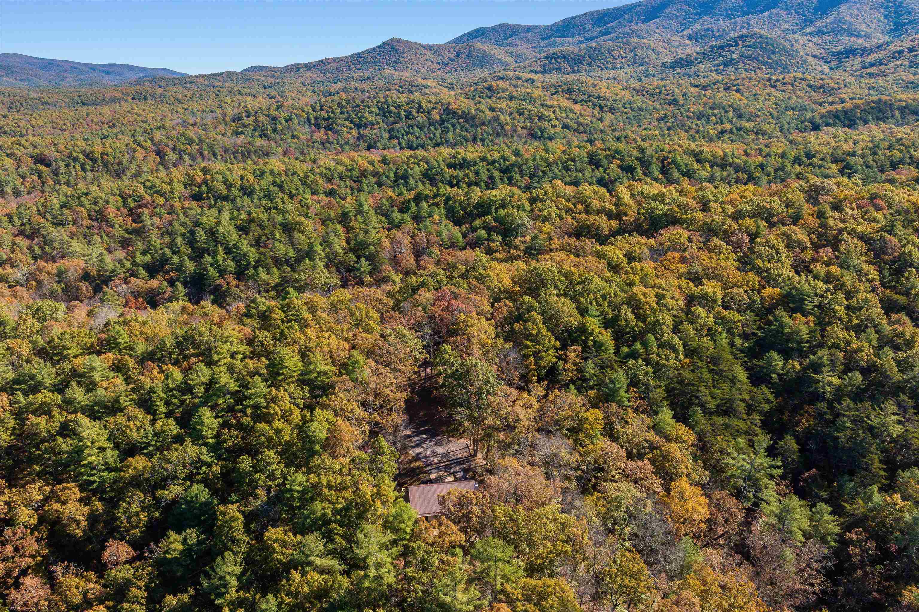 65. MOUNTAIN DEER RUN, WEST AUGUSTA, Virginia 24485, 3 Bedrooms Bedrooms, ,2 BathroomsBathrooms,Residential,65. MOUNTAIN DEER RUN,681265 MLS # 681265 65. MOUNTAIN DEER RUN, WEST AUGUSTA, Virginia 24485, 3 Bedrooms Bedrooms, ,2 BathroomsBathrooms,Residential,65. MOUNTAIN DEER RUN,681265 MLS # 681265
