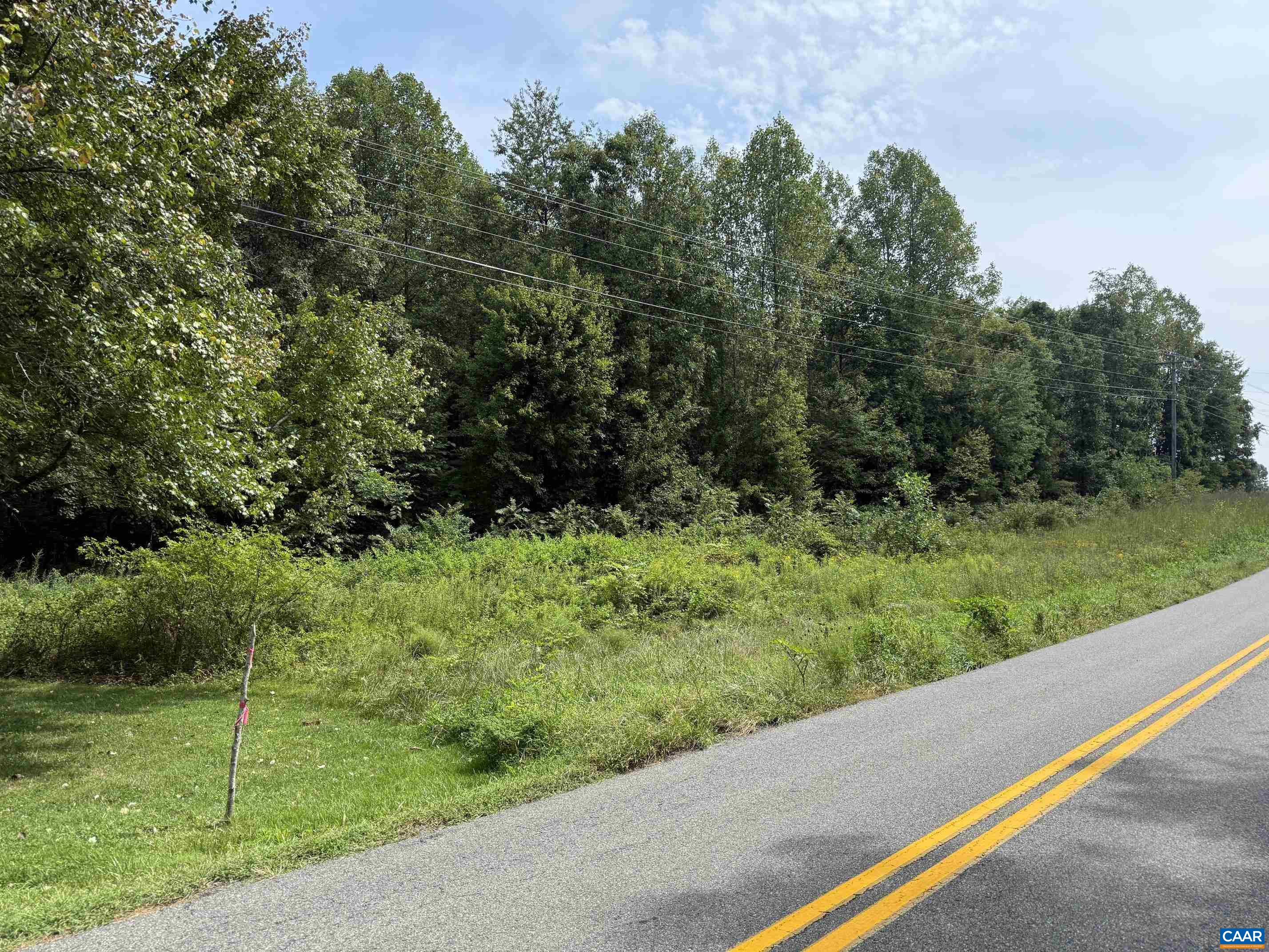 GOLDMINE RD, LOUISA, Virginia 23093, ,Farm,Smith Timber/Pasture Parcel,GOLDMINE RD,681308 MLS # 681308 GOLDMINE RD, LOUISA, Virginia 23093, ,Farm,Smith Timber/Pasture Parcel,GOLDMINE RD,681308 MLS # 681308