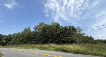 GOLDMINE RD, LOUISA, Virginia 23093, ,Farm,Smith Timber/Pasture Parcel,GOLDMINE RD,681308 MLS # 681308