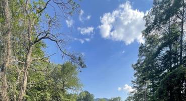 6133 PLANK RD, AFTON, Virginia 22920, ,Land,6133 PLANK RD,676050 MLS # 676050