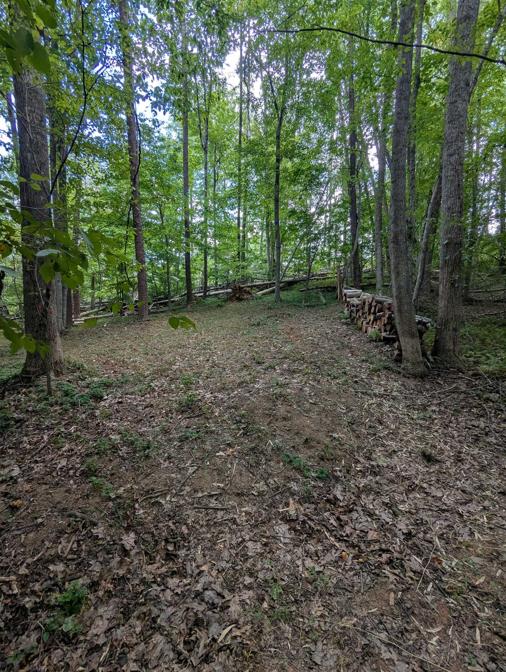 TBD BURTON LAKE RD, CHATHAM, Virginia 24531, ,Land,TBD BURTON LAKE RD,681356 MLS # 681356