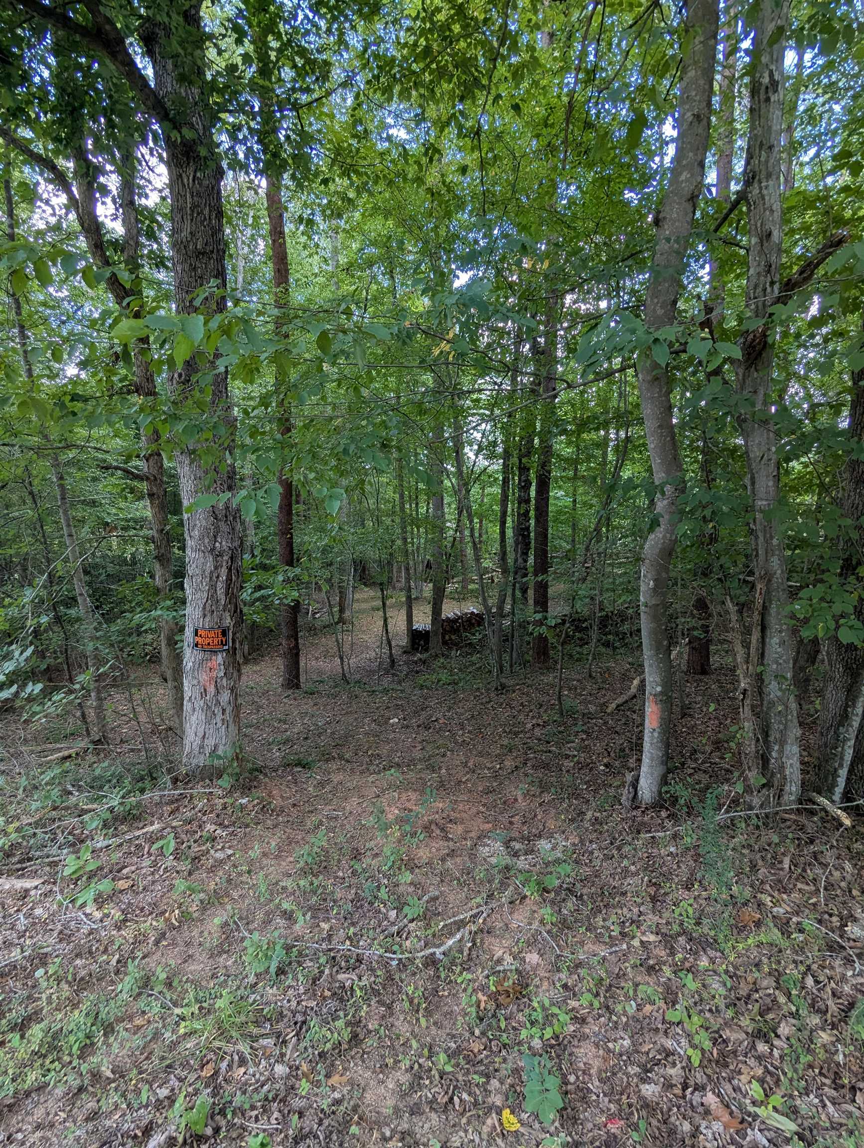 TBD BURTON LAKE RD, CHATHAM, Virginia 24531, ,Land,TBD BURTON LAKE RD,681356 MLS # 681356