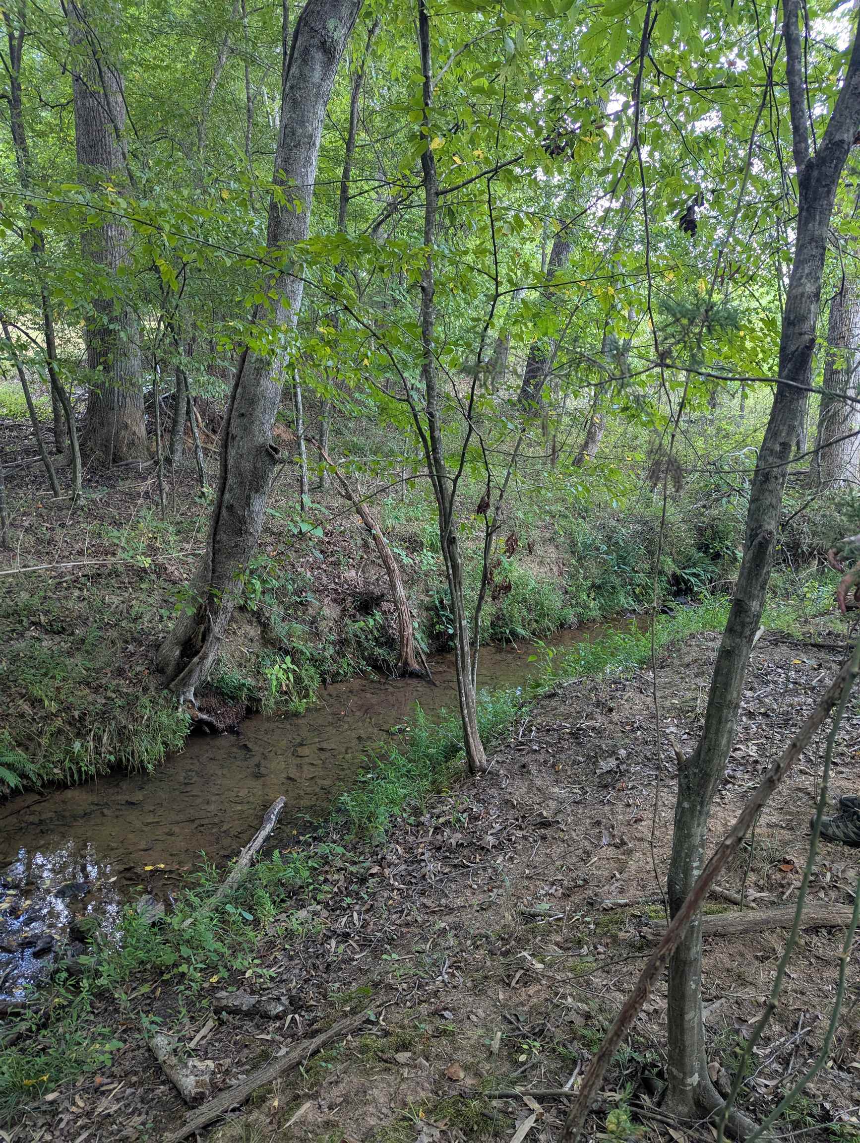 TBD BURTON LAKE RD, CHATHAM, Virginia 24531, ,Land,TBD BURTON LAKE RD,681356 MLS # 681356